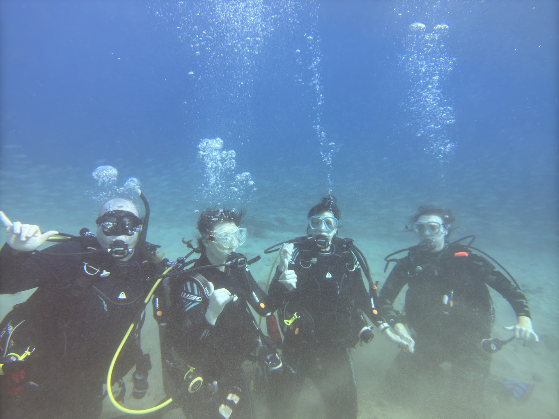 Kauai Scuba Adventures