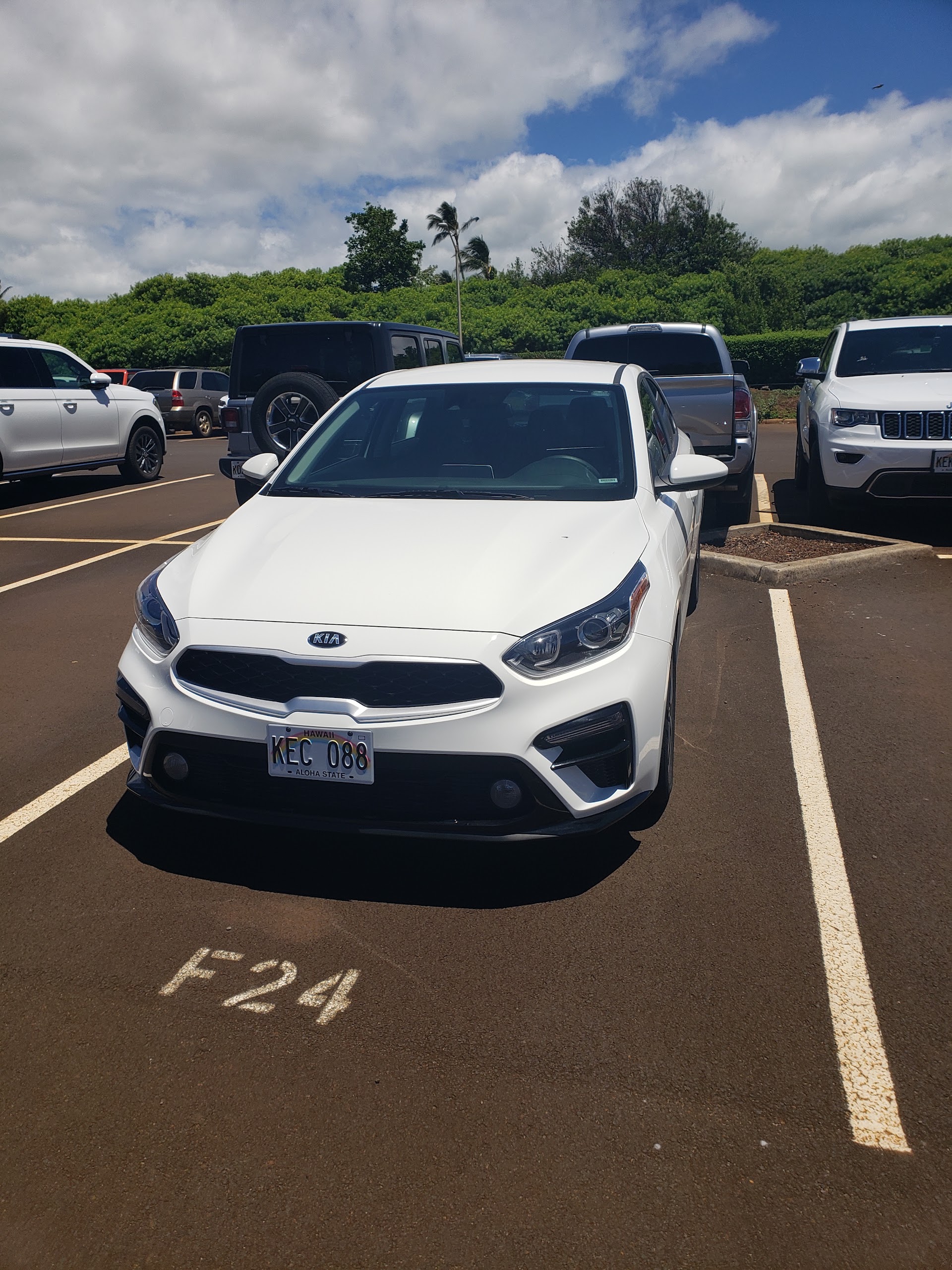 Avis Car Rental