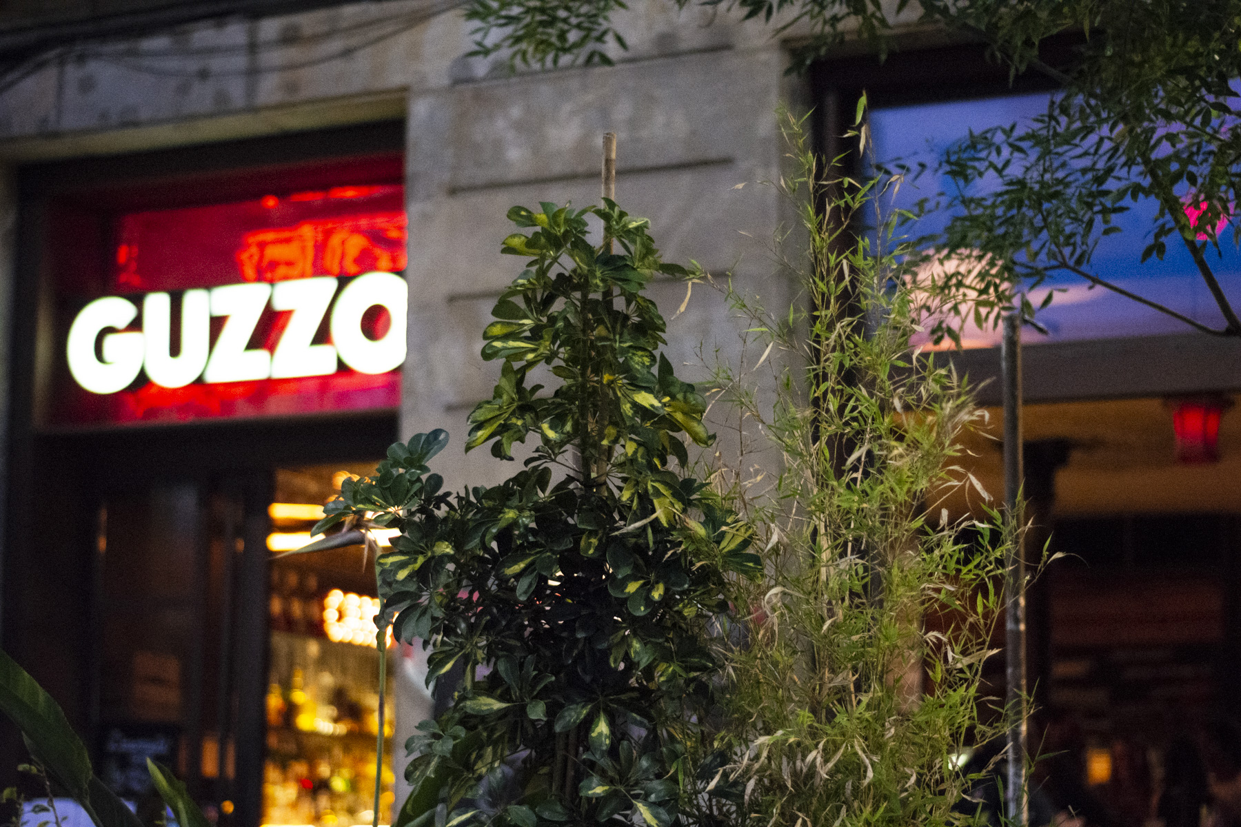 GUZZO I Restaurante Born