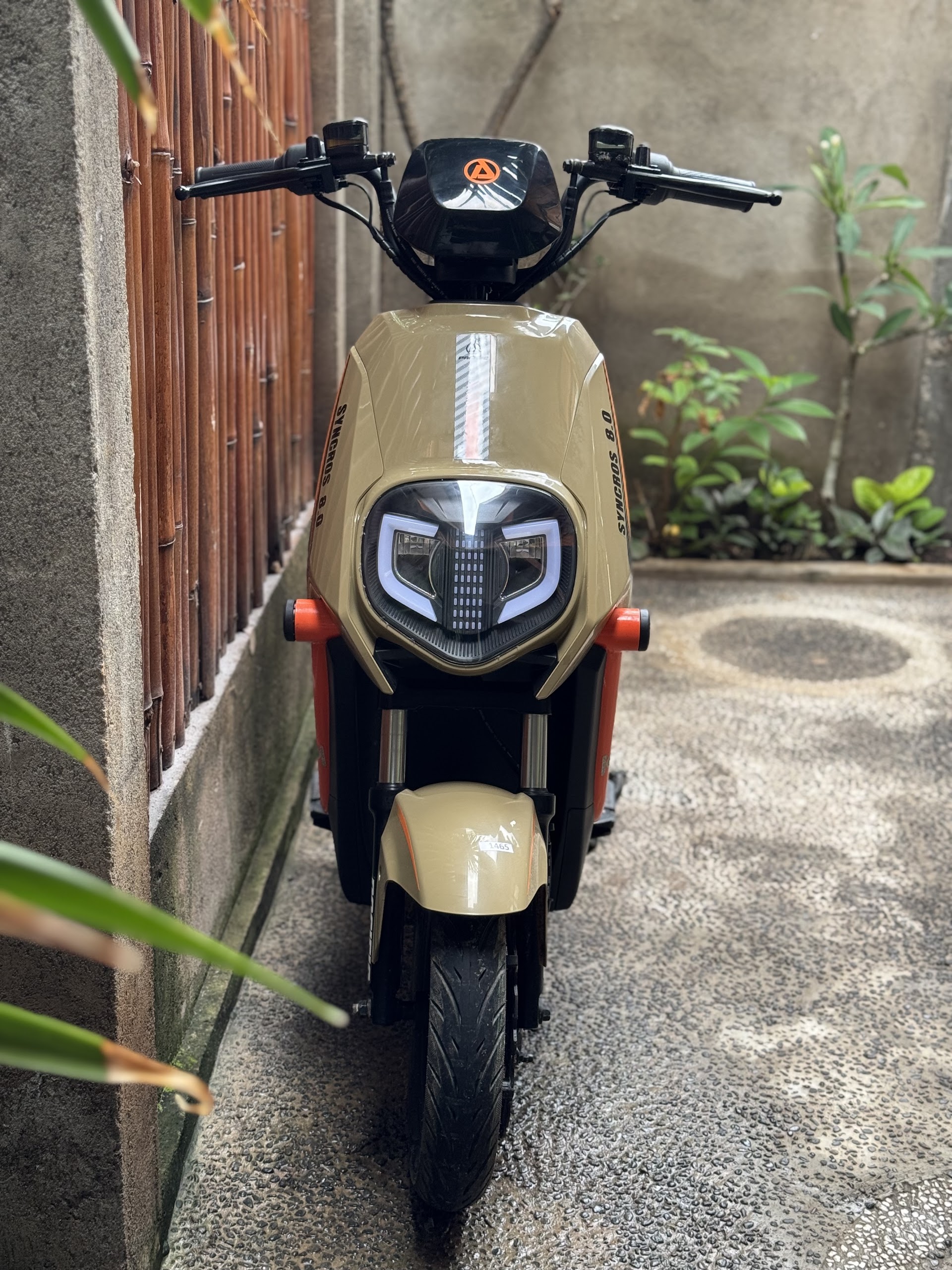 Ozzy Bike and Scooter Electric Rental