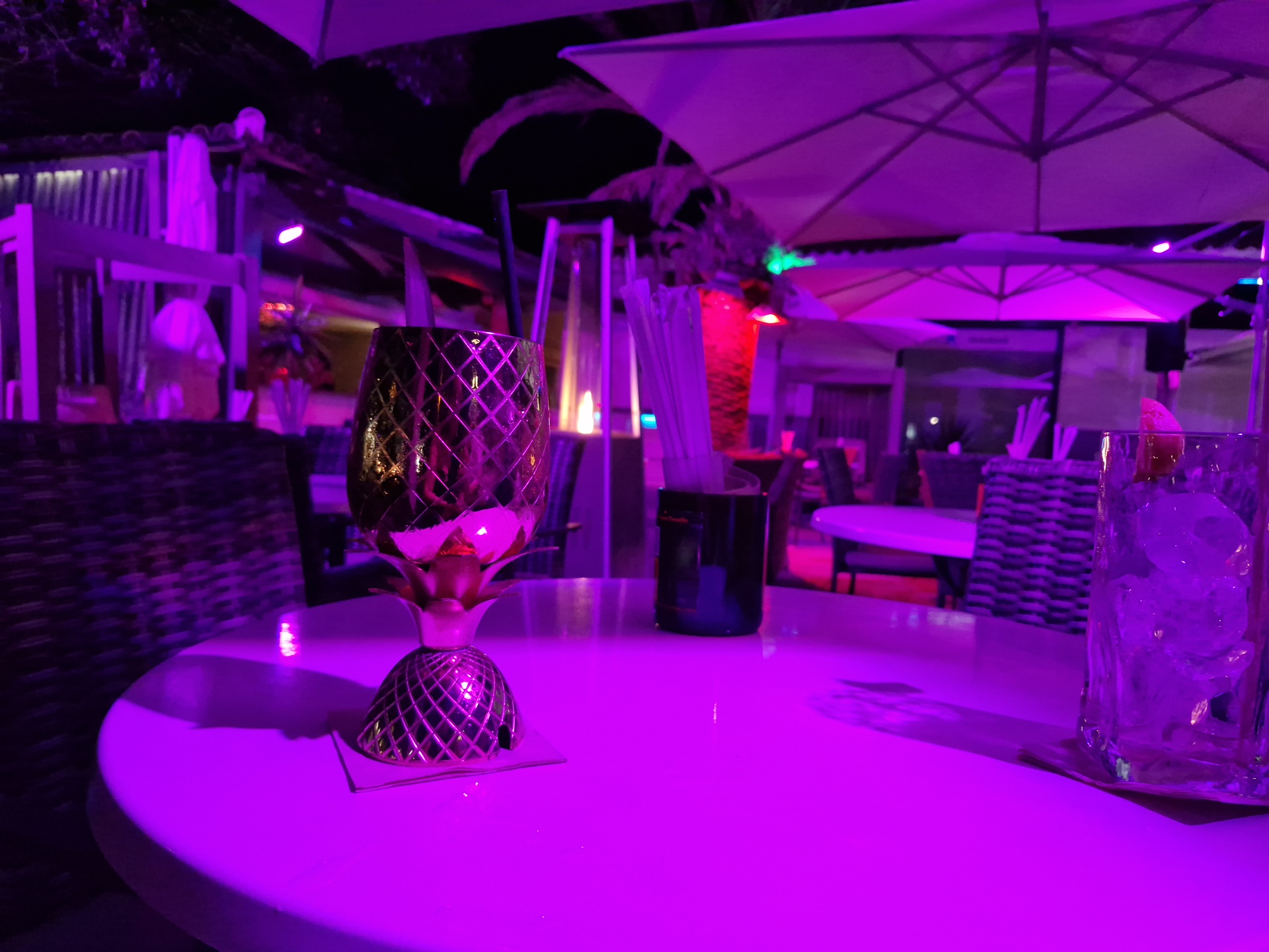 Terraza Jardin