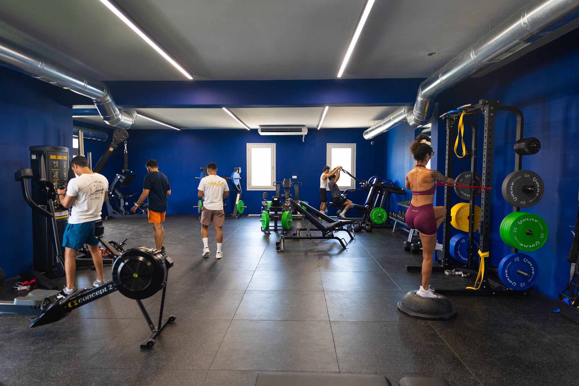 HIVE Gym