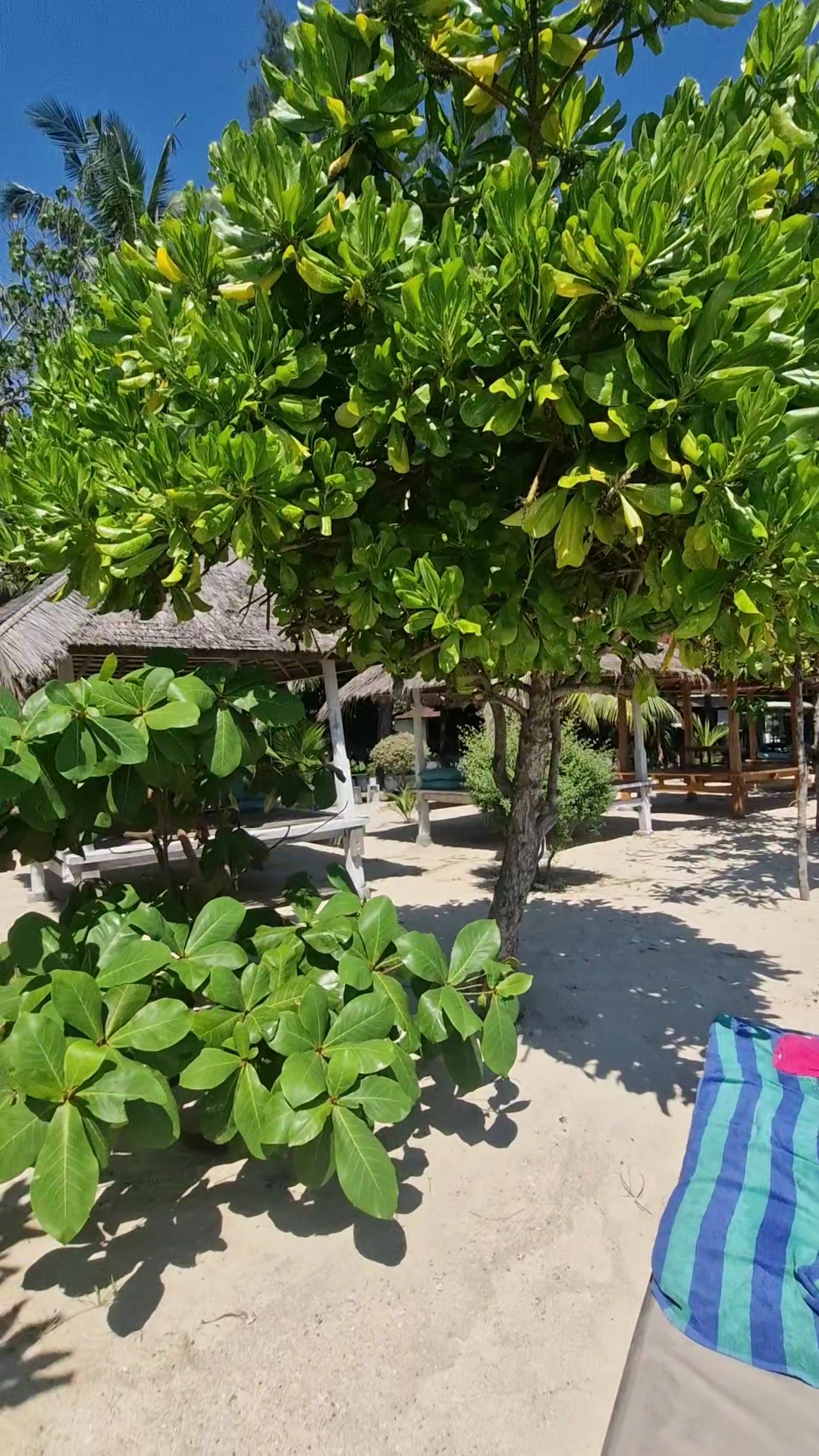 Salili Bungalow