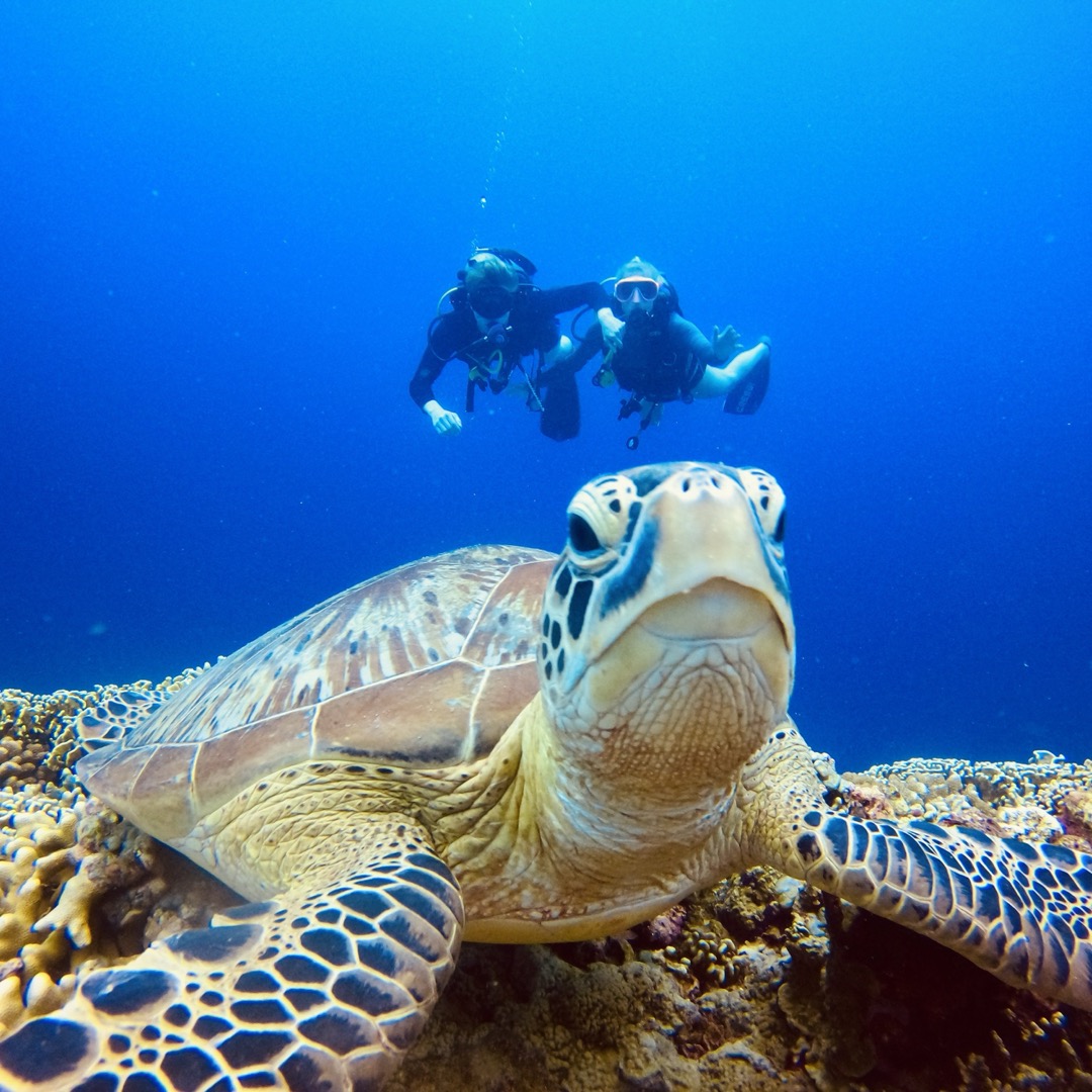 Signature Scuba Gili Trawangan SSI & PADI Dive Center