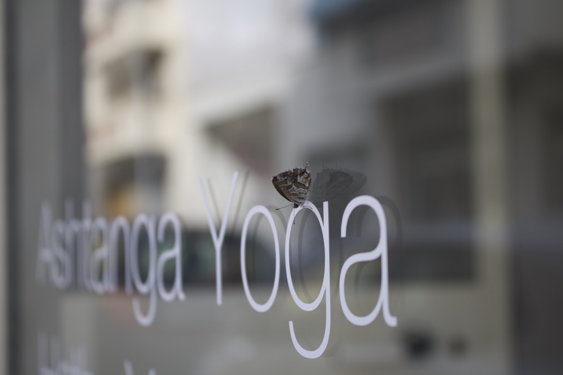 Nurayama Yoga Studio – Estudi de ioga