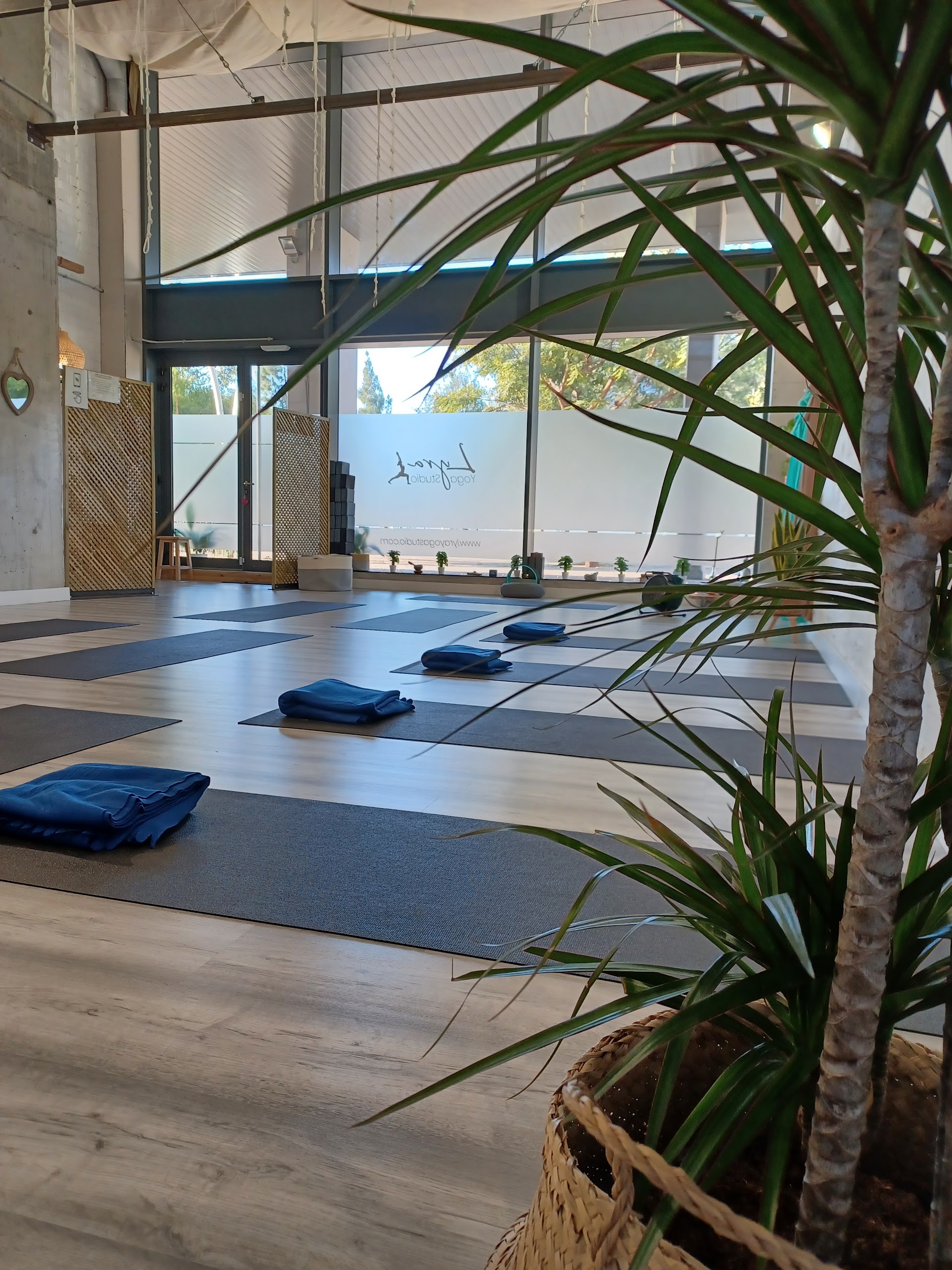 Lyra Yoga Studio