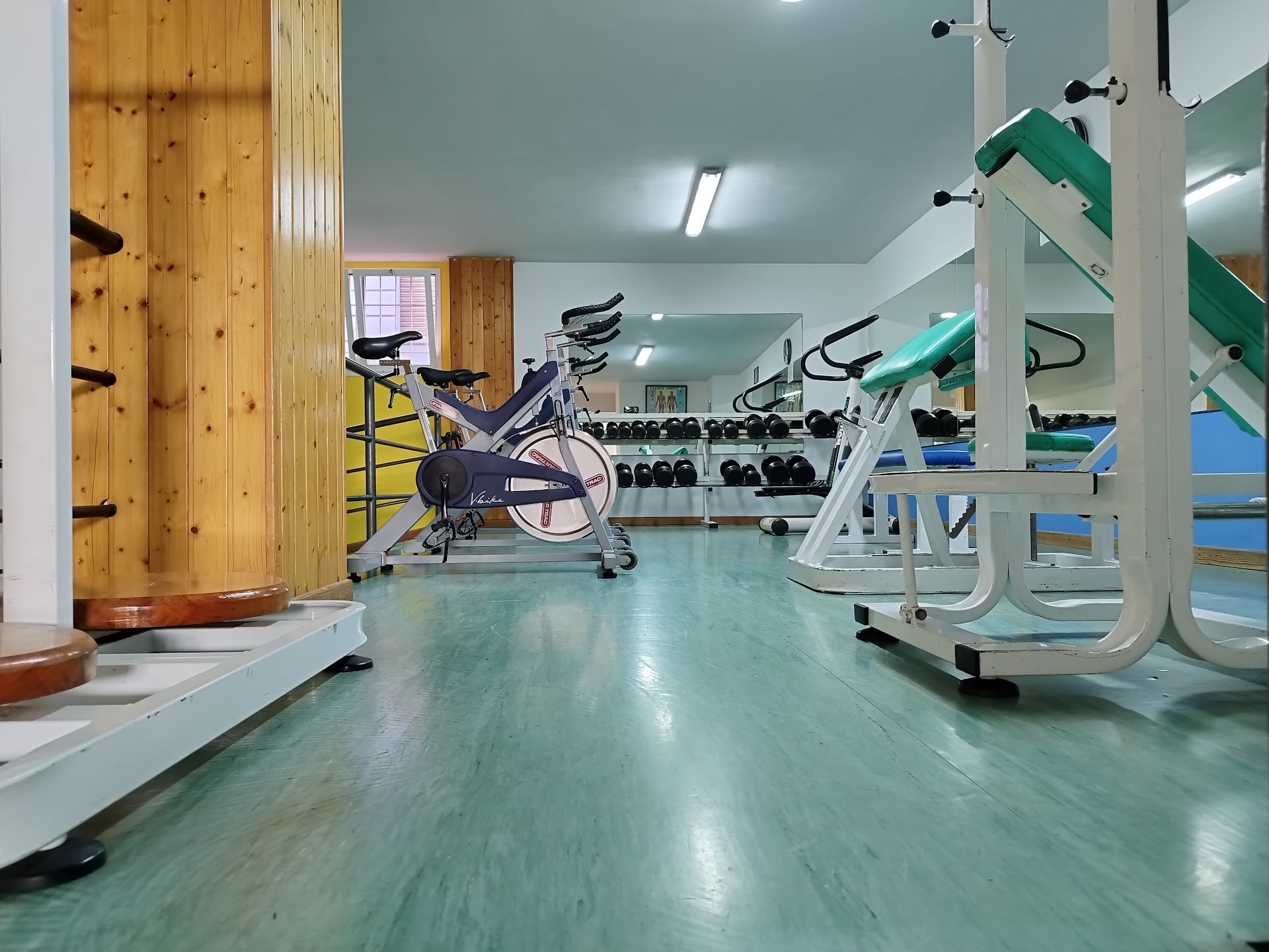 Gimnasio Vista Bella