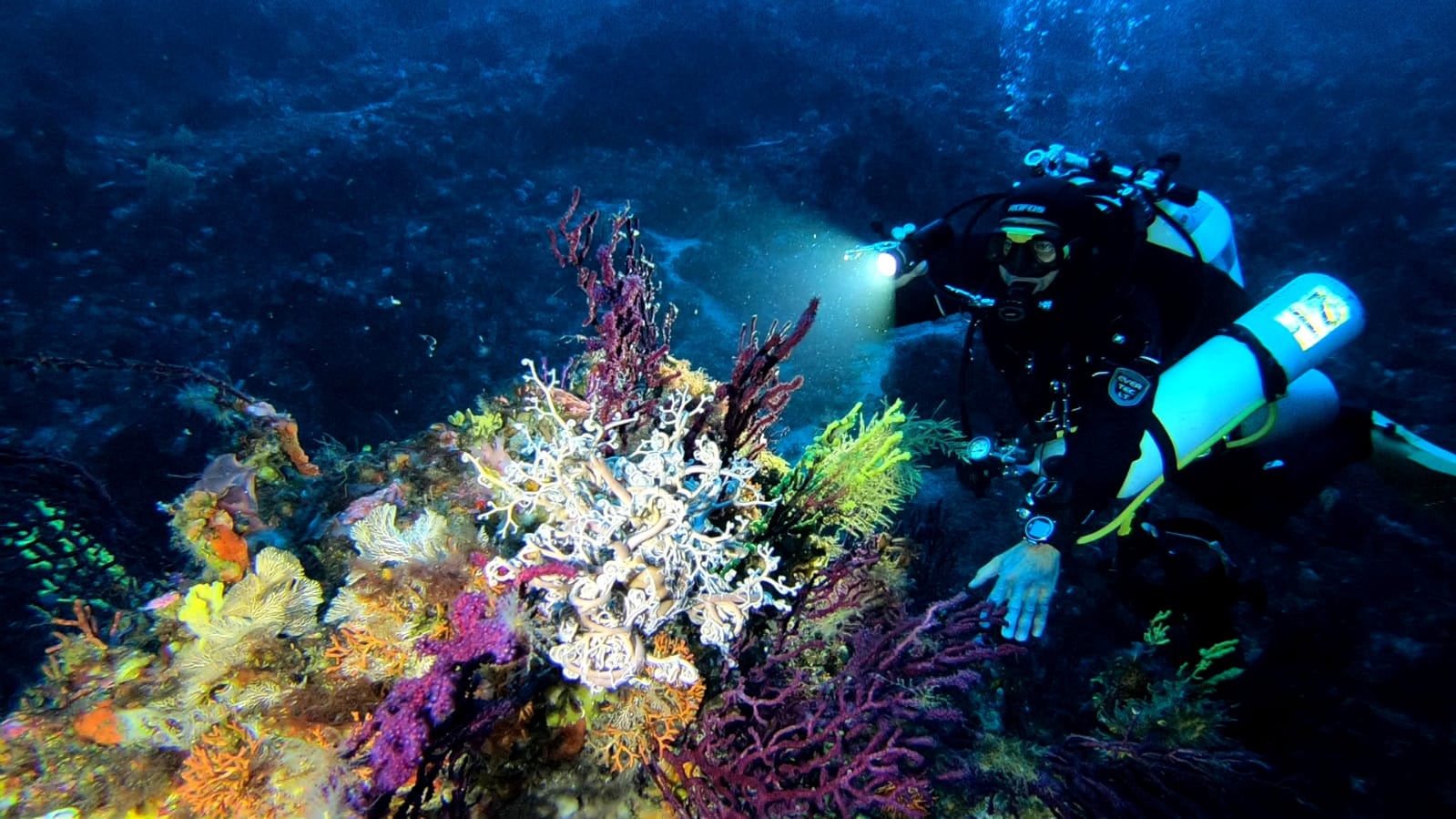 Dive-x Diving Center Cala Gadir 1994