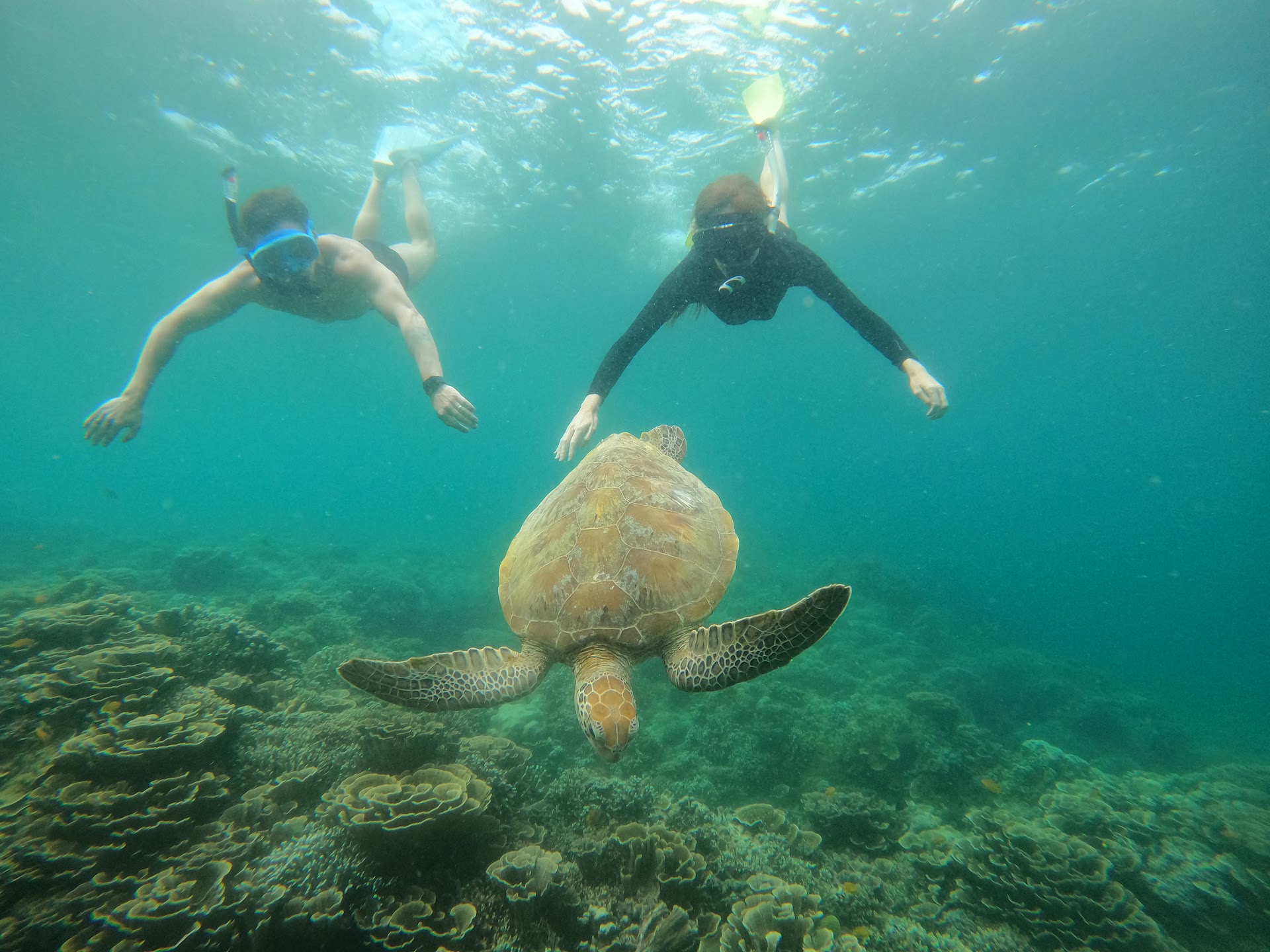 FendyTours GiliAgency travelings information {Snorkeling Club}
