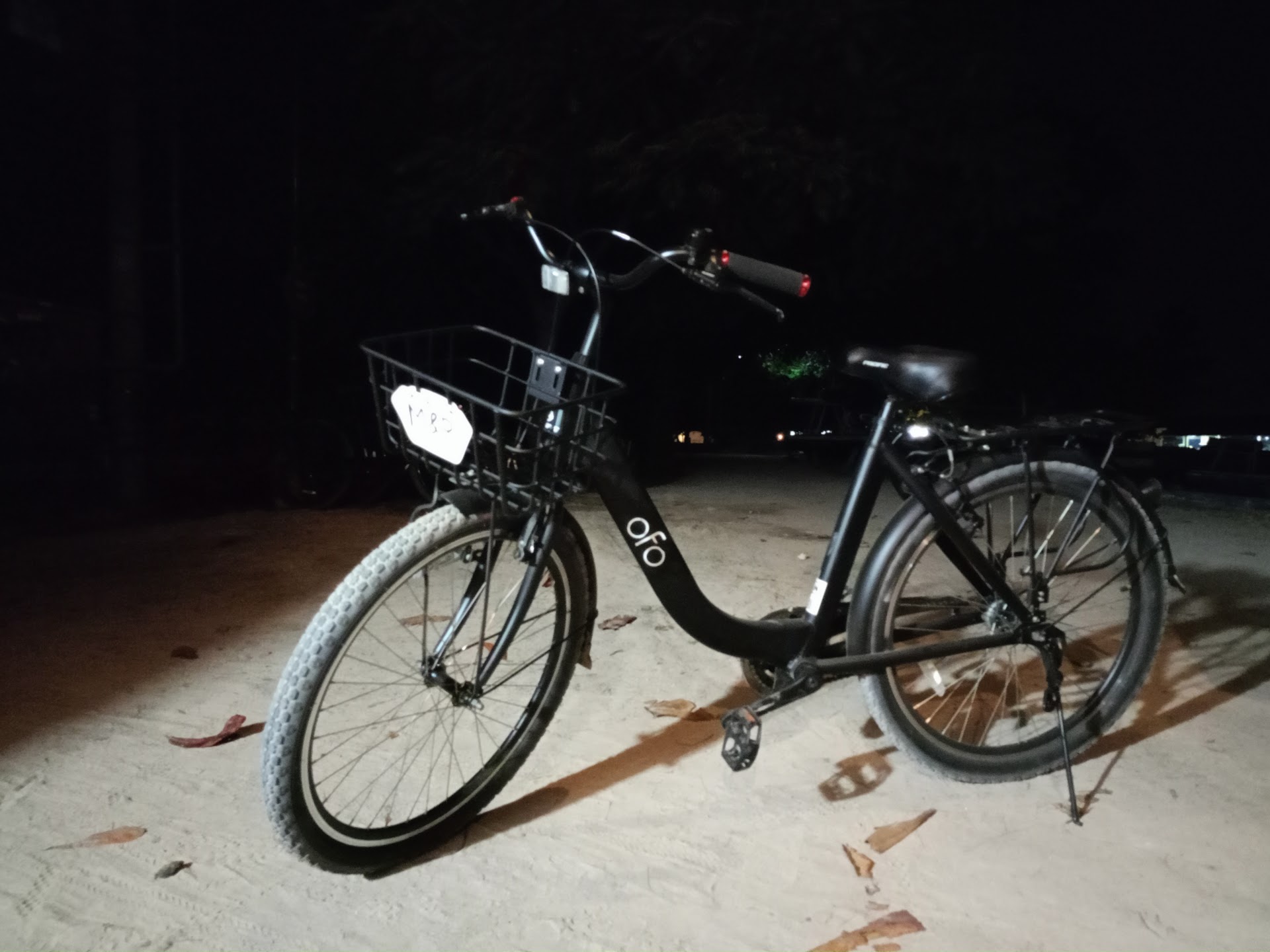 Dalek's bicycle rental