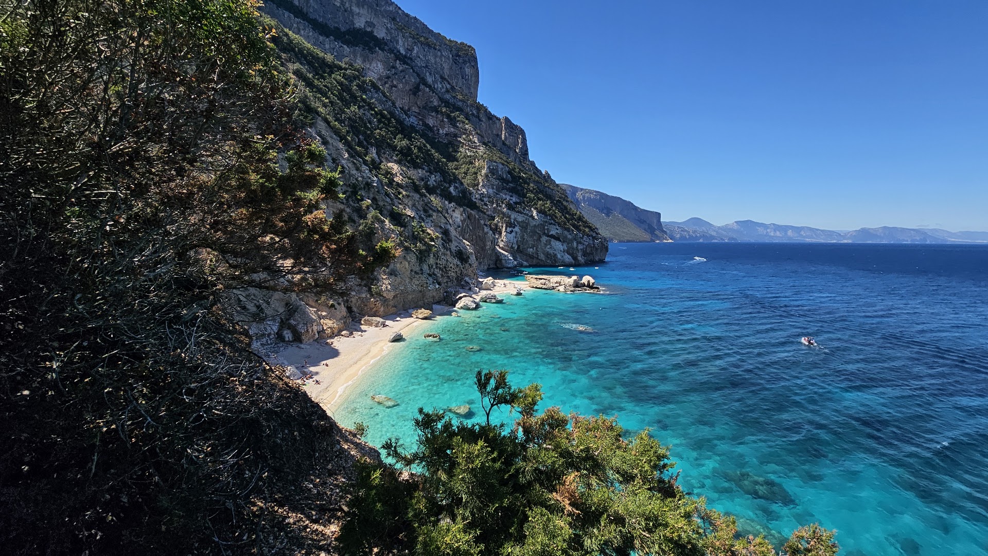 Selvaggio Blu