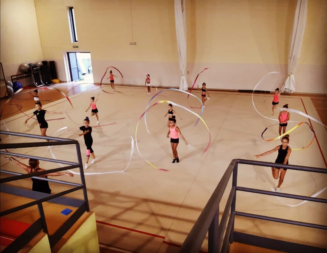 FREEDOM FITNESS