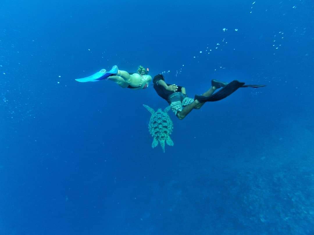 Lombok Trips Agency - Gili Snorkeling & Tours