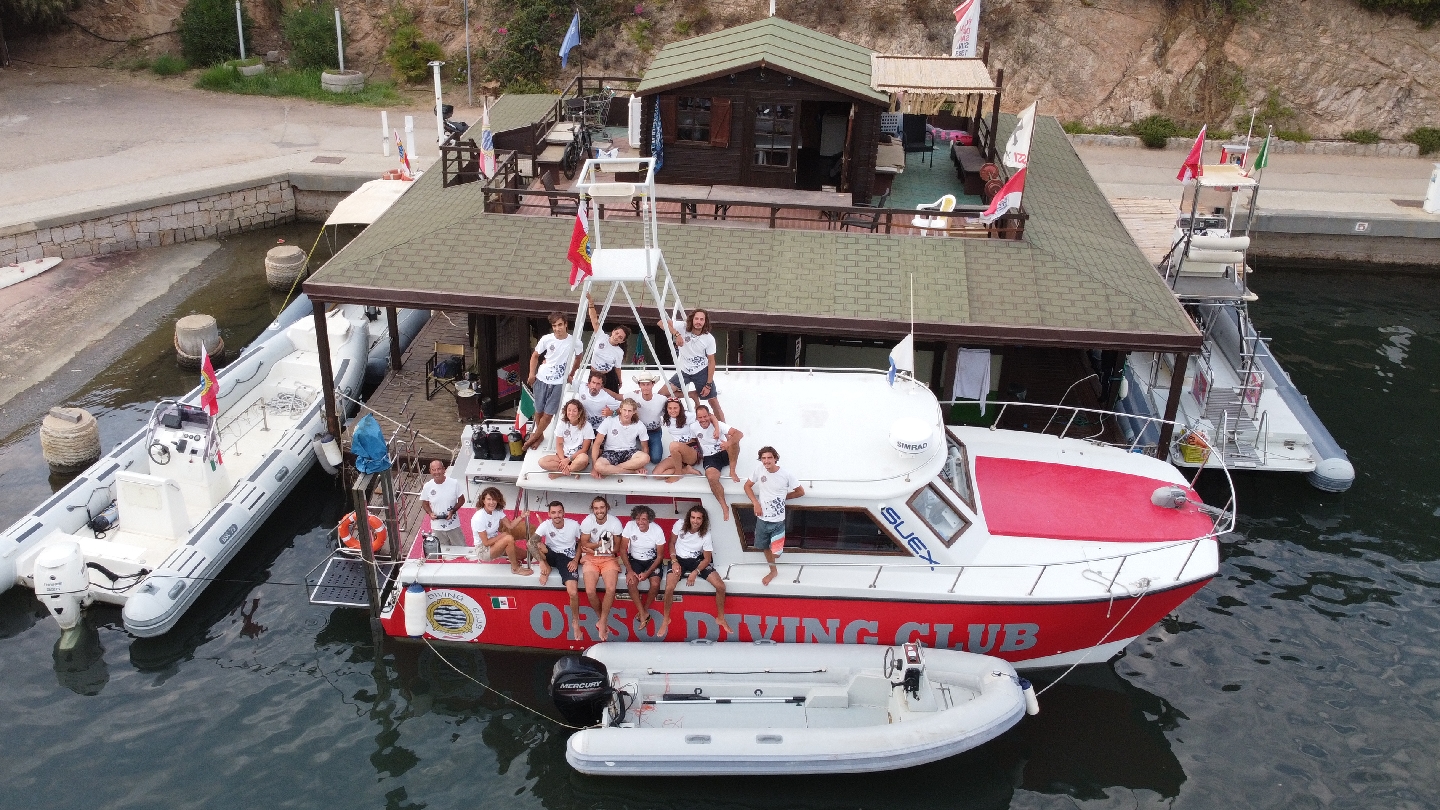 Orso Diving Club - Whale Watching Sardinia