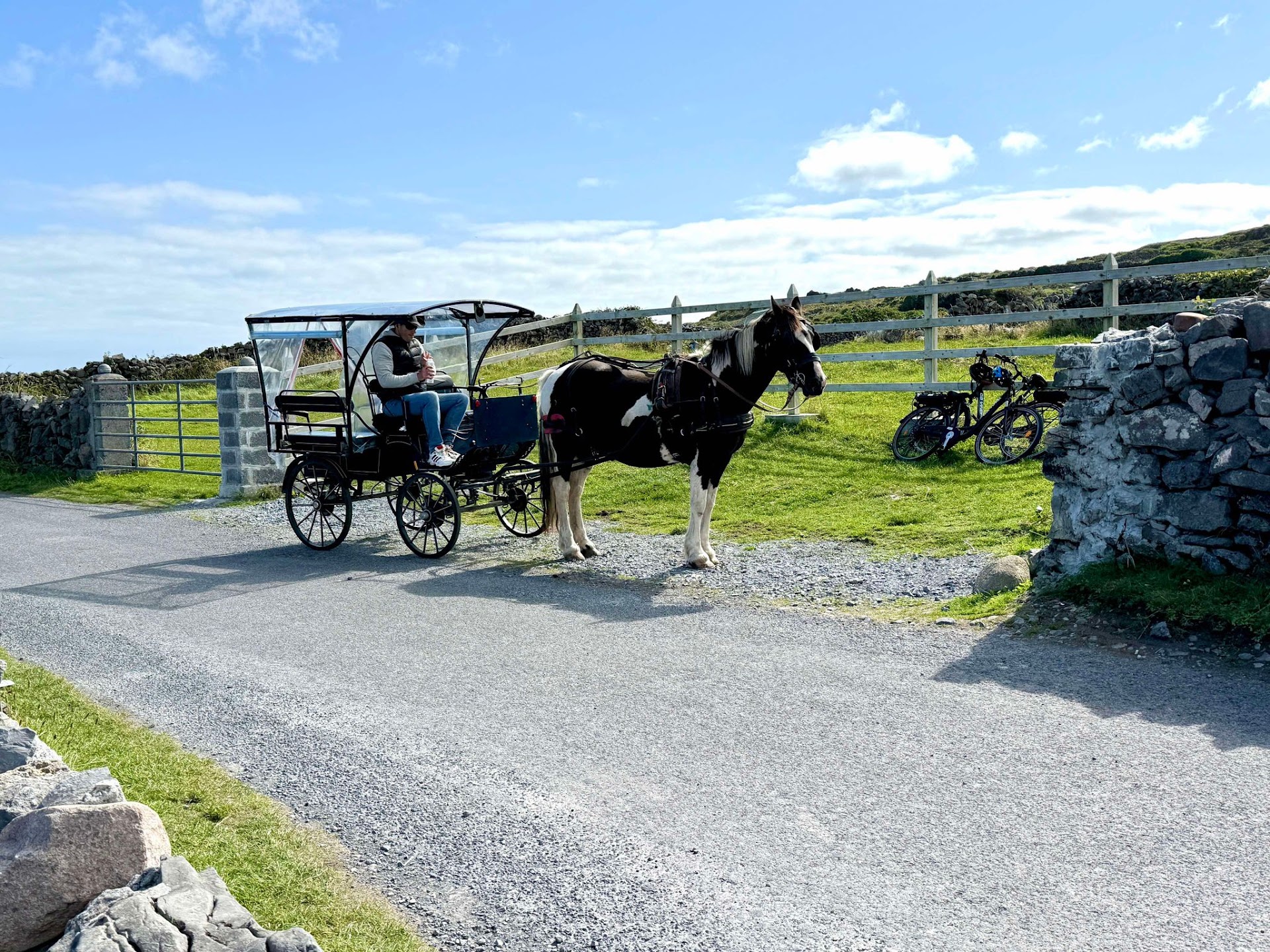 Inis mor horse carriage tours