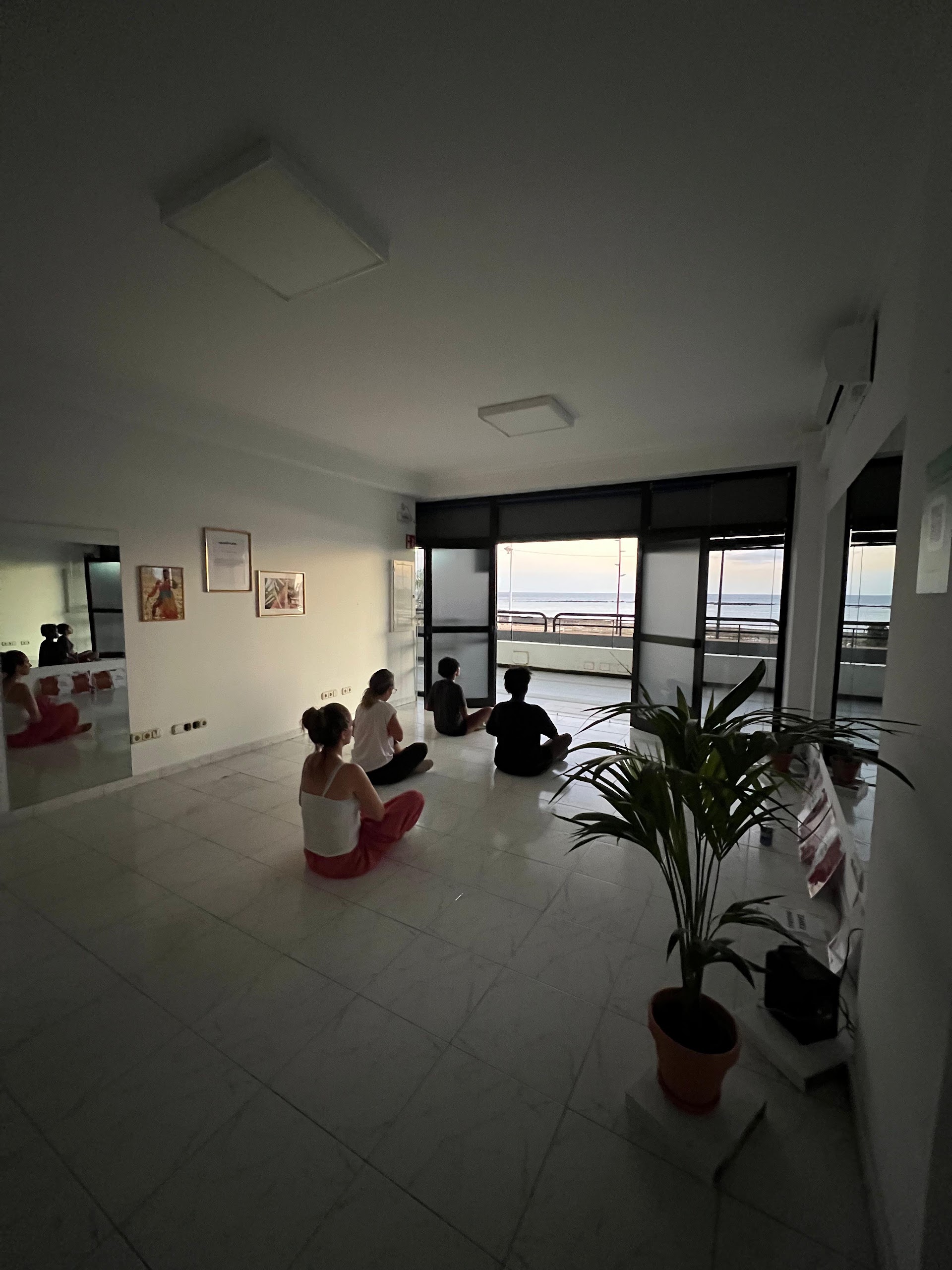 más palmas Studios