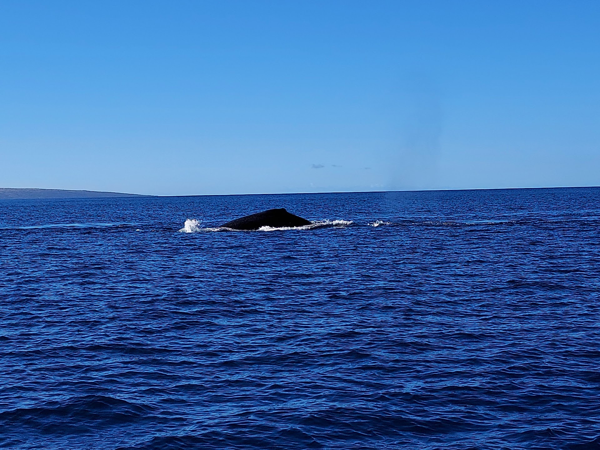 Molokai Ocean Tours