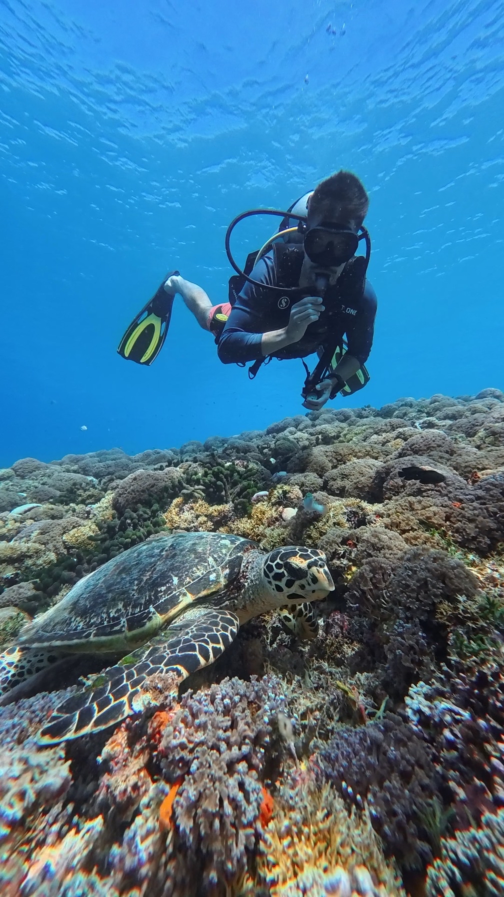Moana Dive Air | Scuba and Freedive