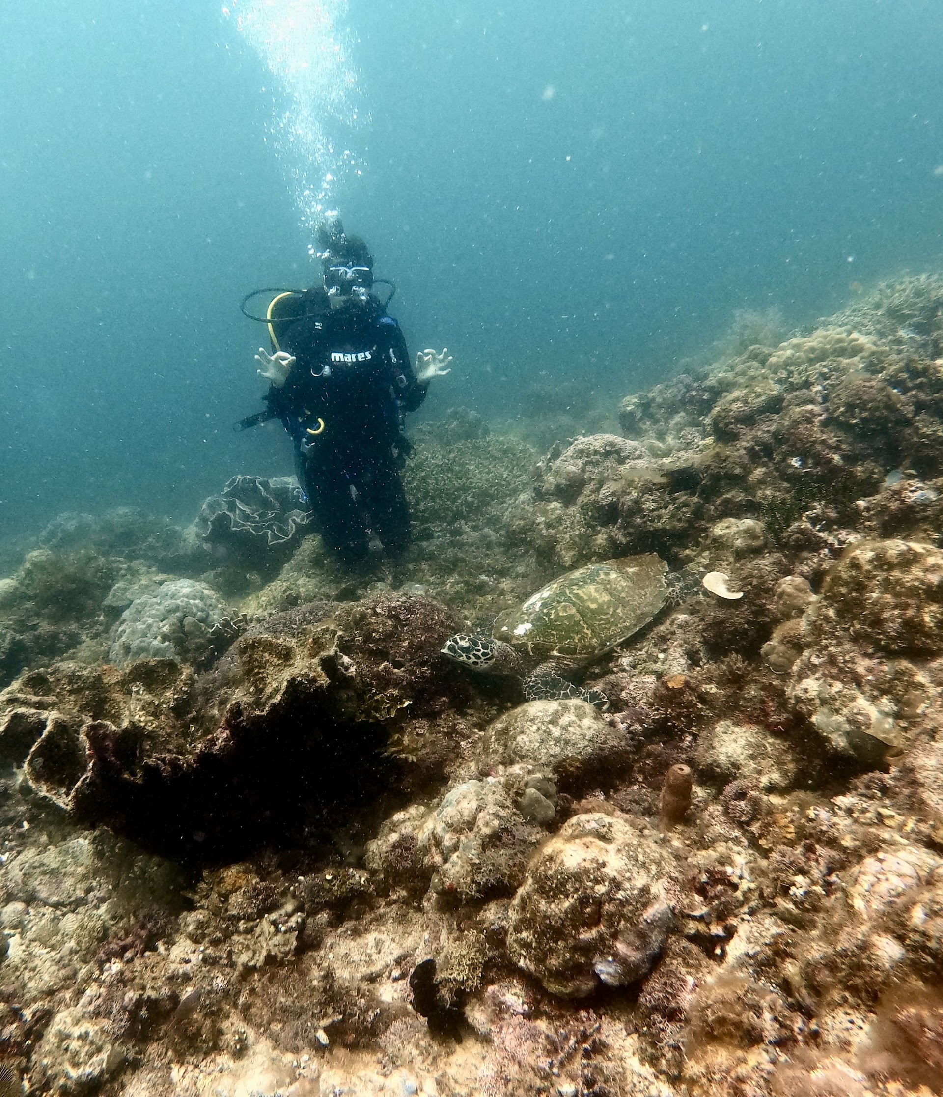 Opaw Diving Camiguin
