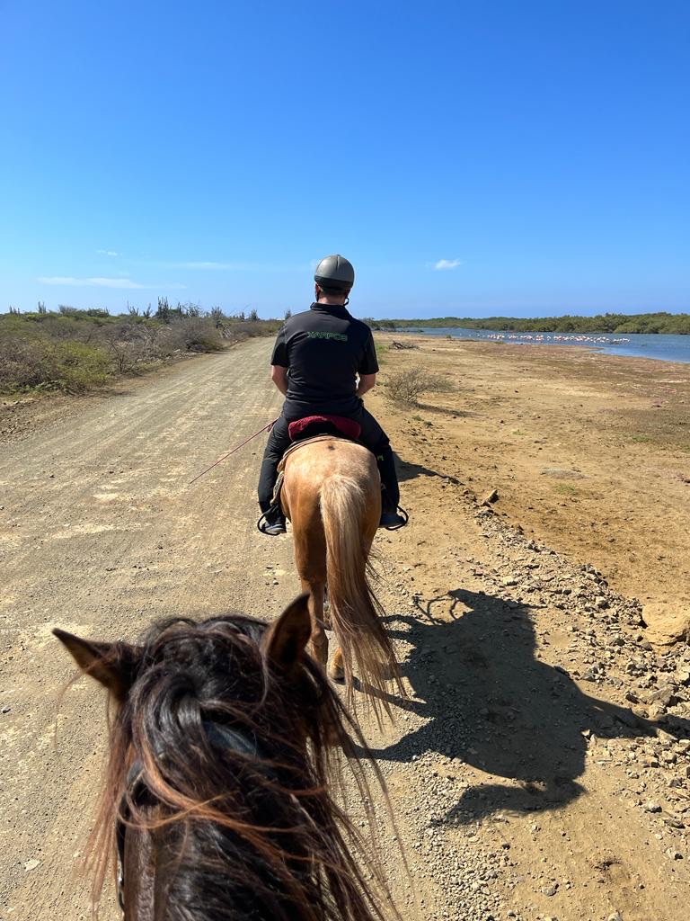 Horse Ranch Bonaire