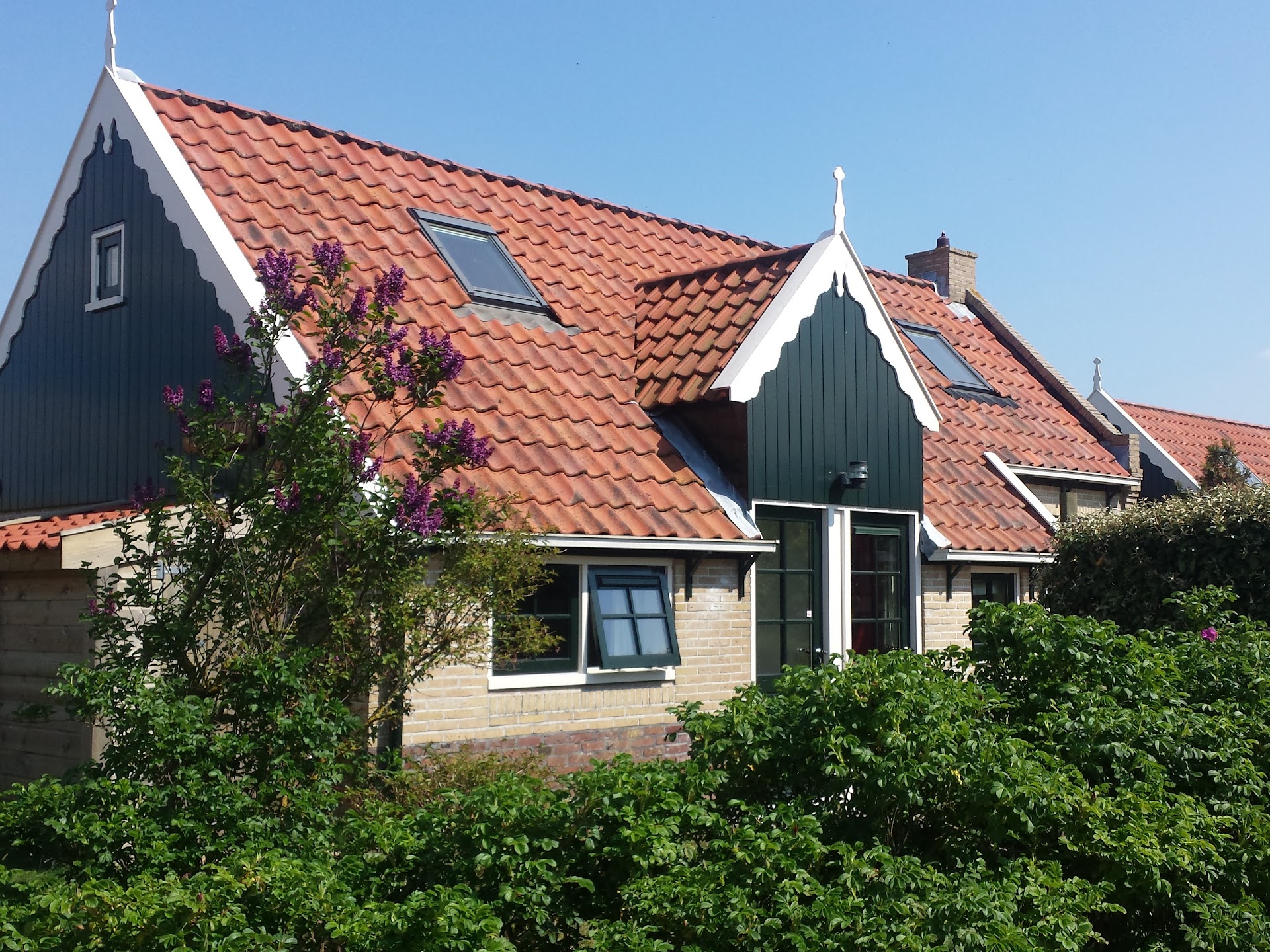 Hoogtij