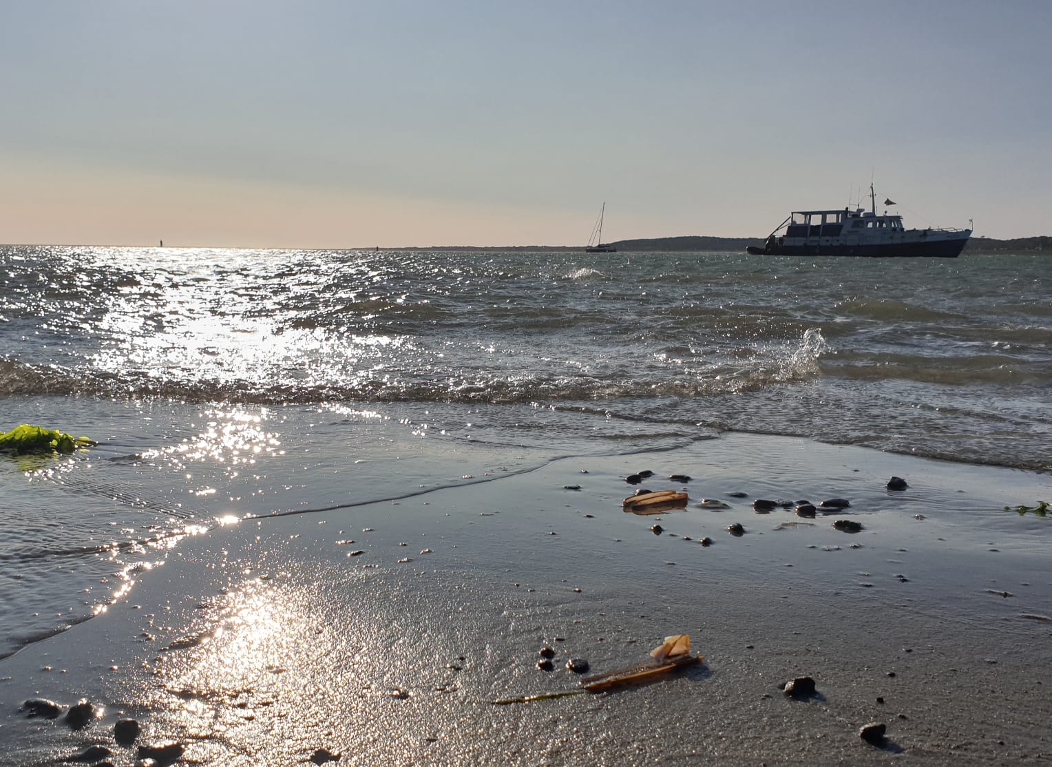 Phoca Company Vlieland