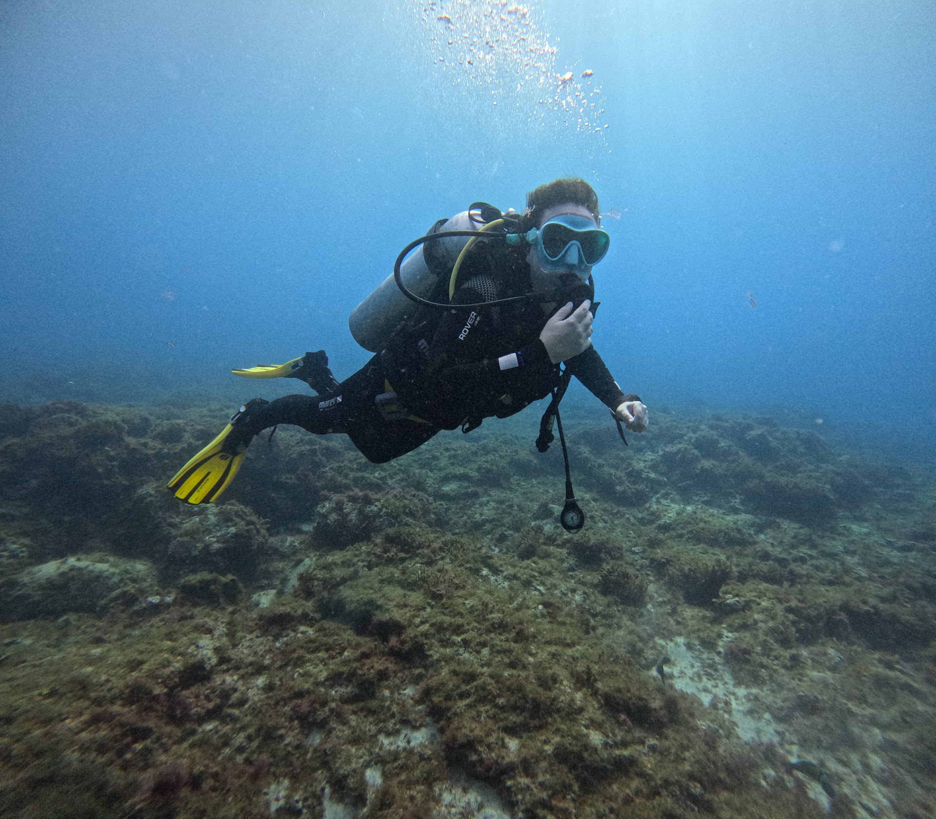 Dive Spot Tenerife