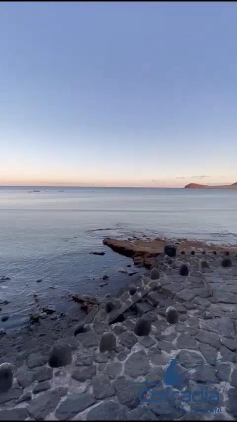 Cofradía El Médano