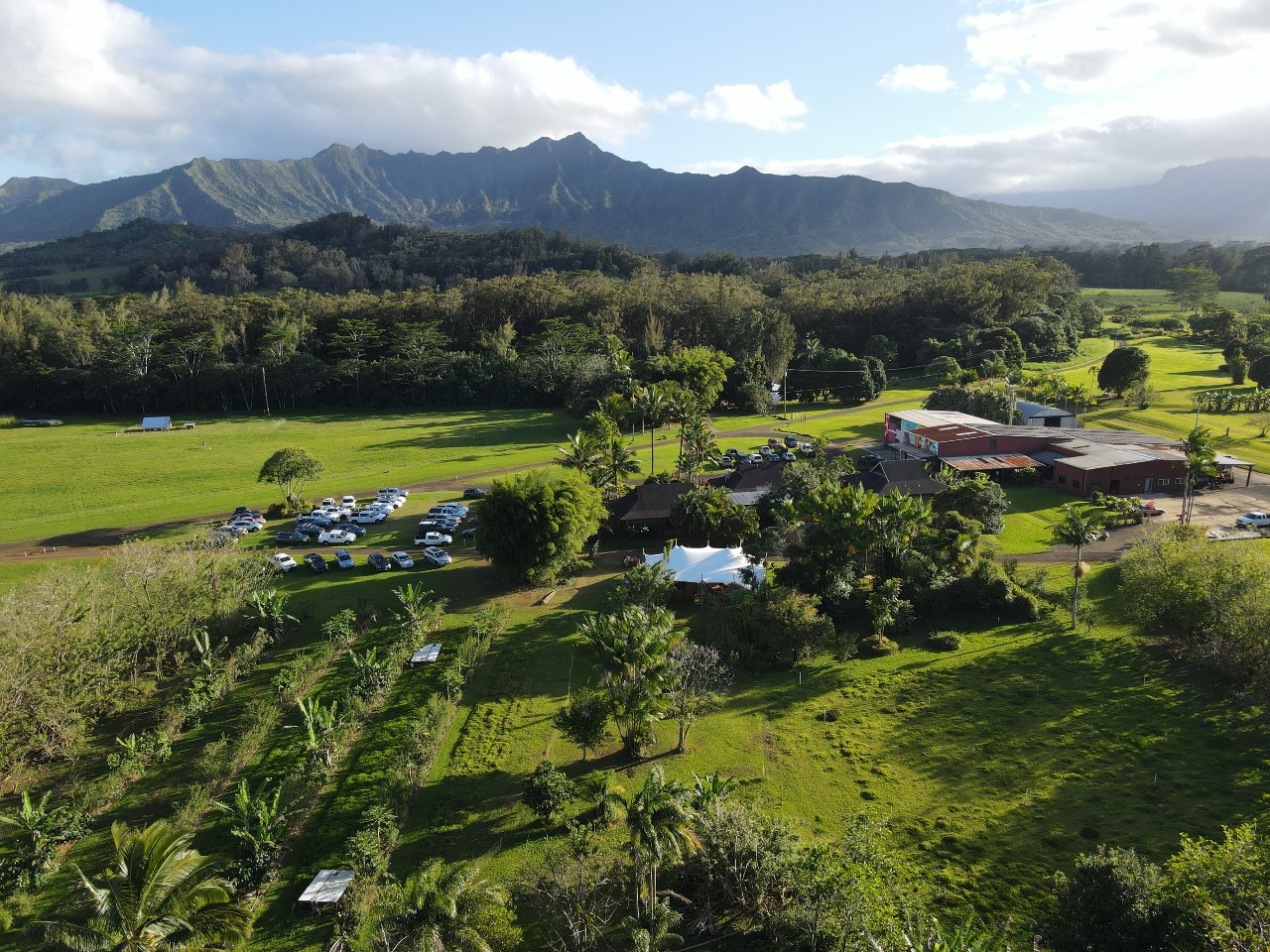 Common Ground Kauai