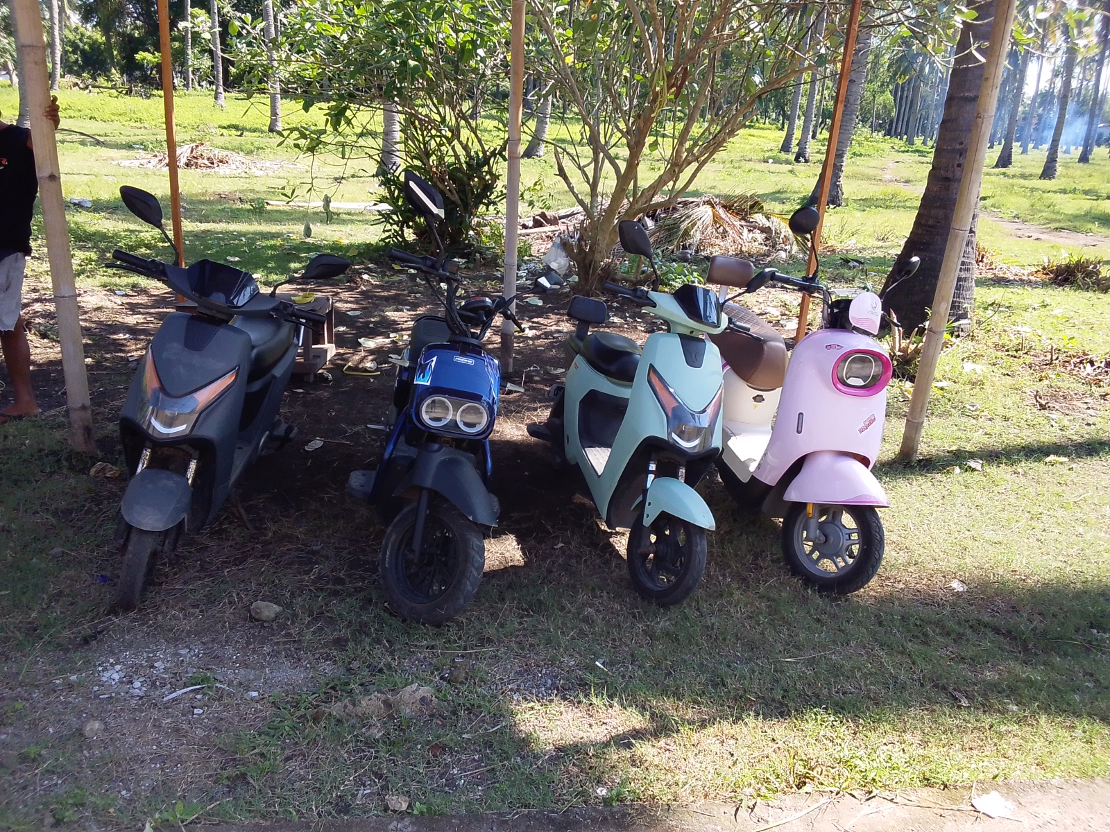Bunga gili bikes