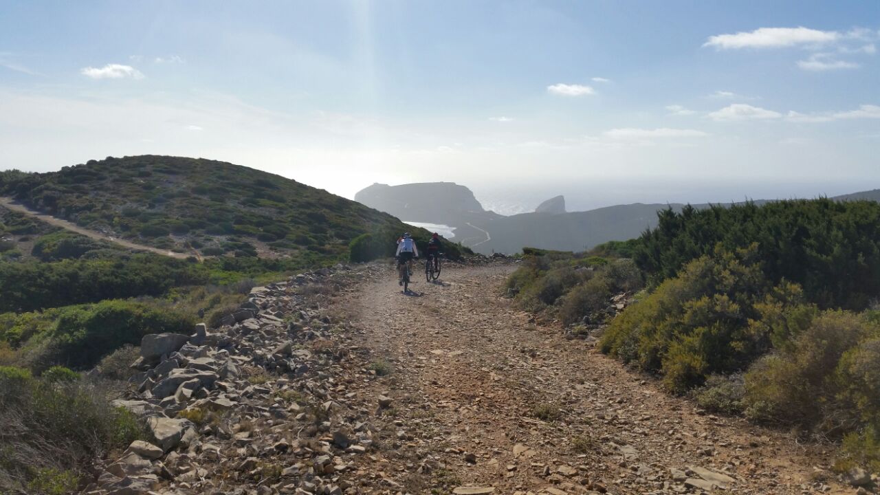 BellaBiking Tours