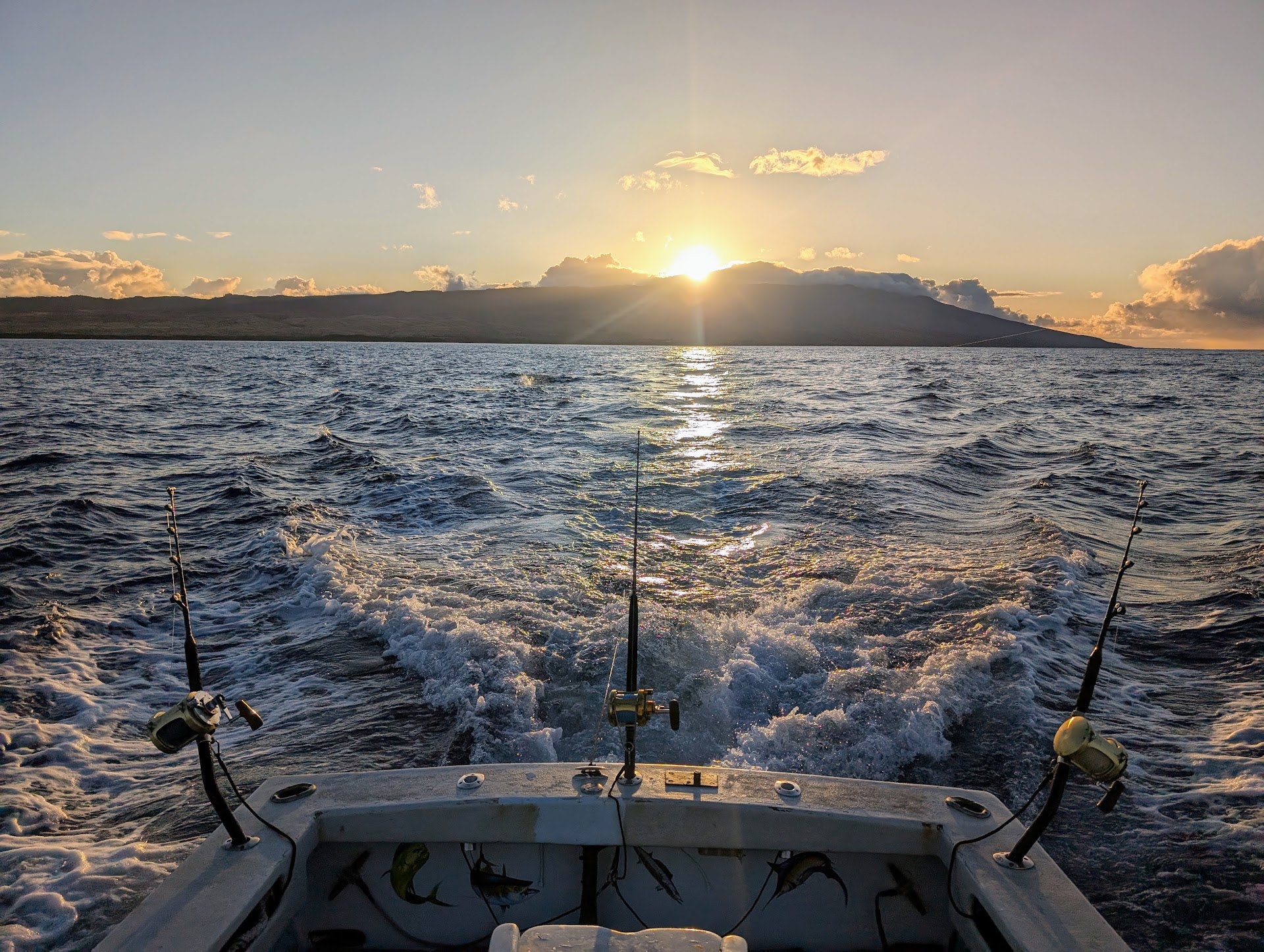 ALYCE C SPORTFISHING