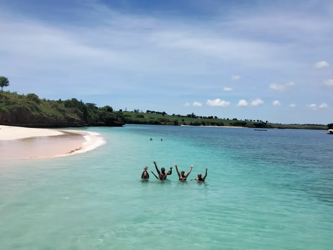 Safari Tour and Travel