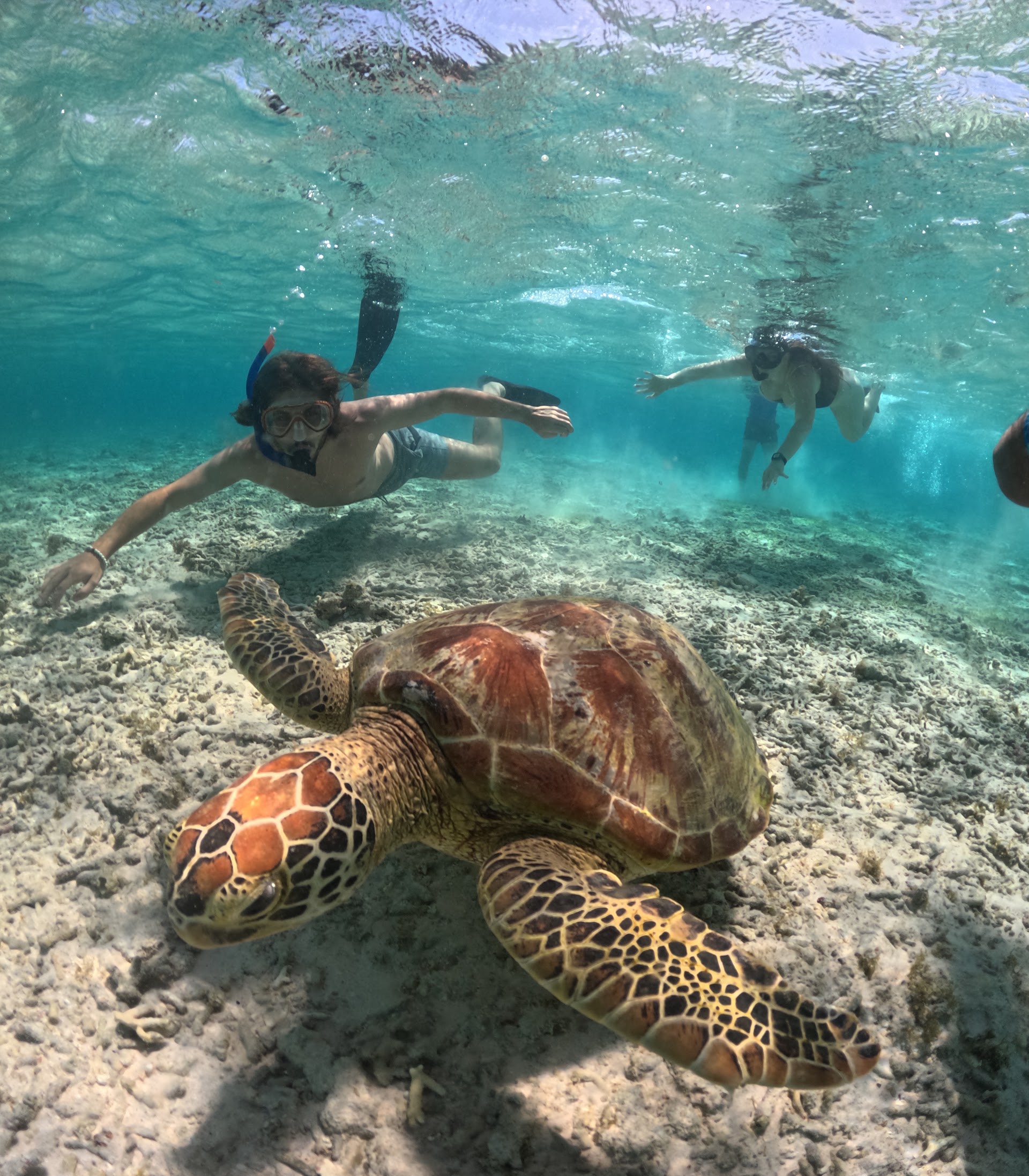 PT.Gili Royal Agent