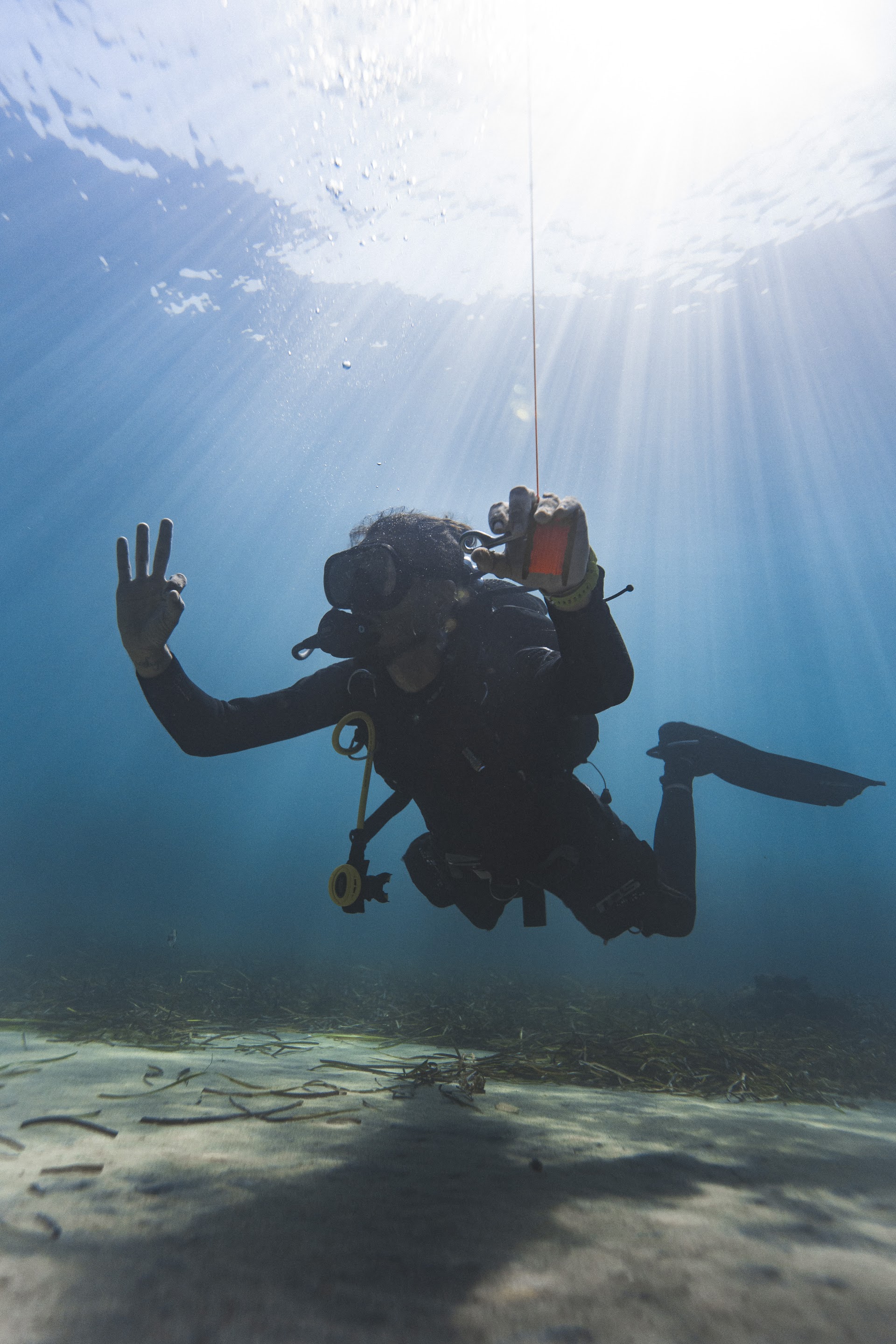 La Perla Negra Dive