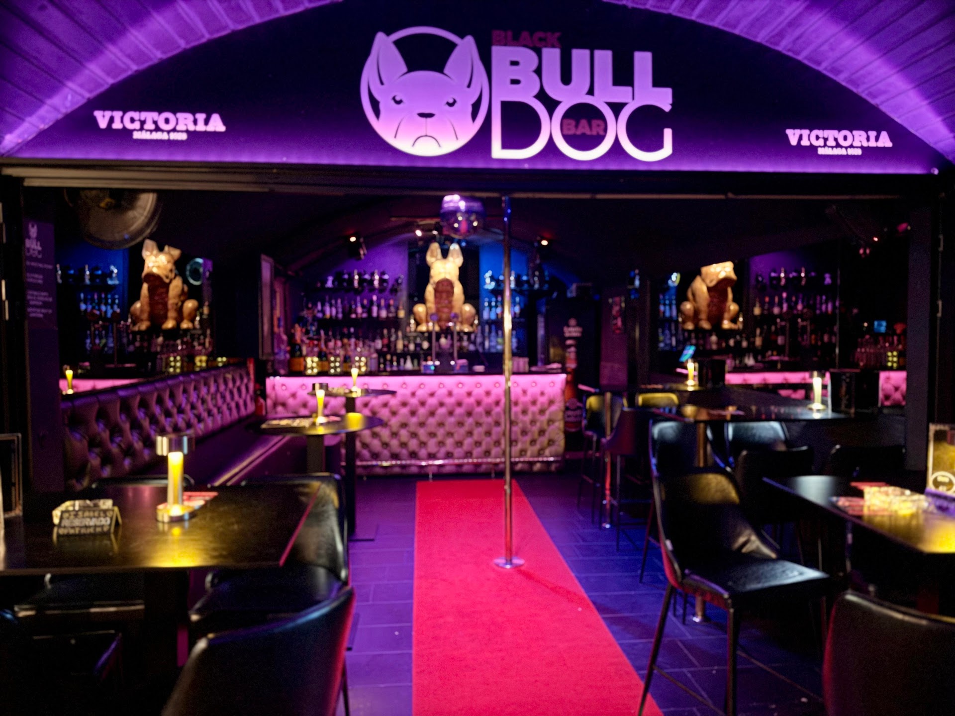 Black Bulldog Bar – Swingers & Lifestyle Club Maspalomas