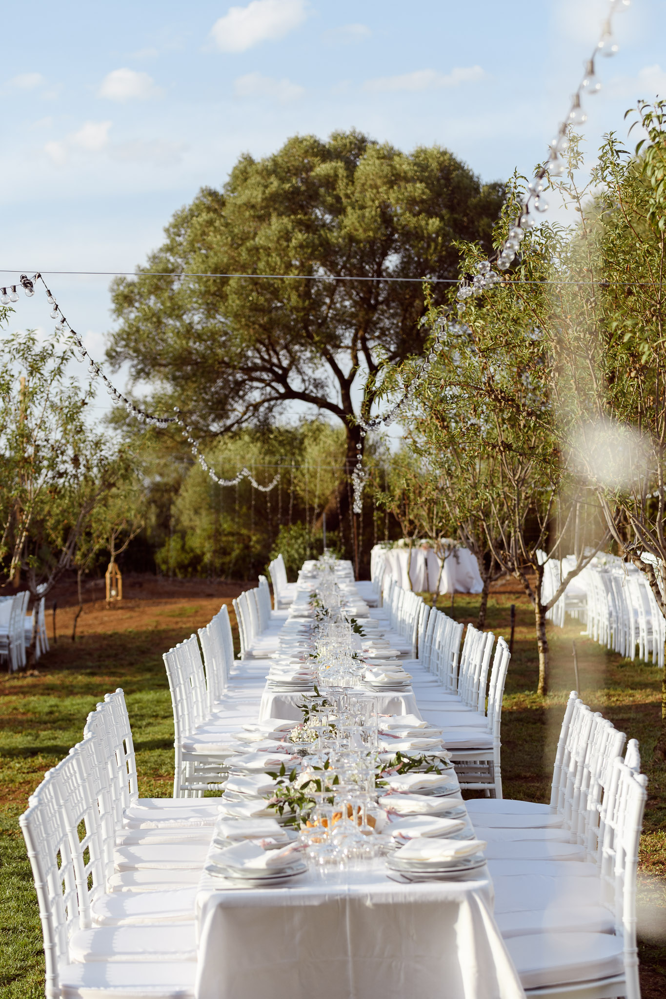 SOFT PARTY ALLESTIMENTI CATERING