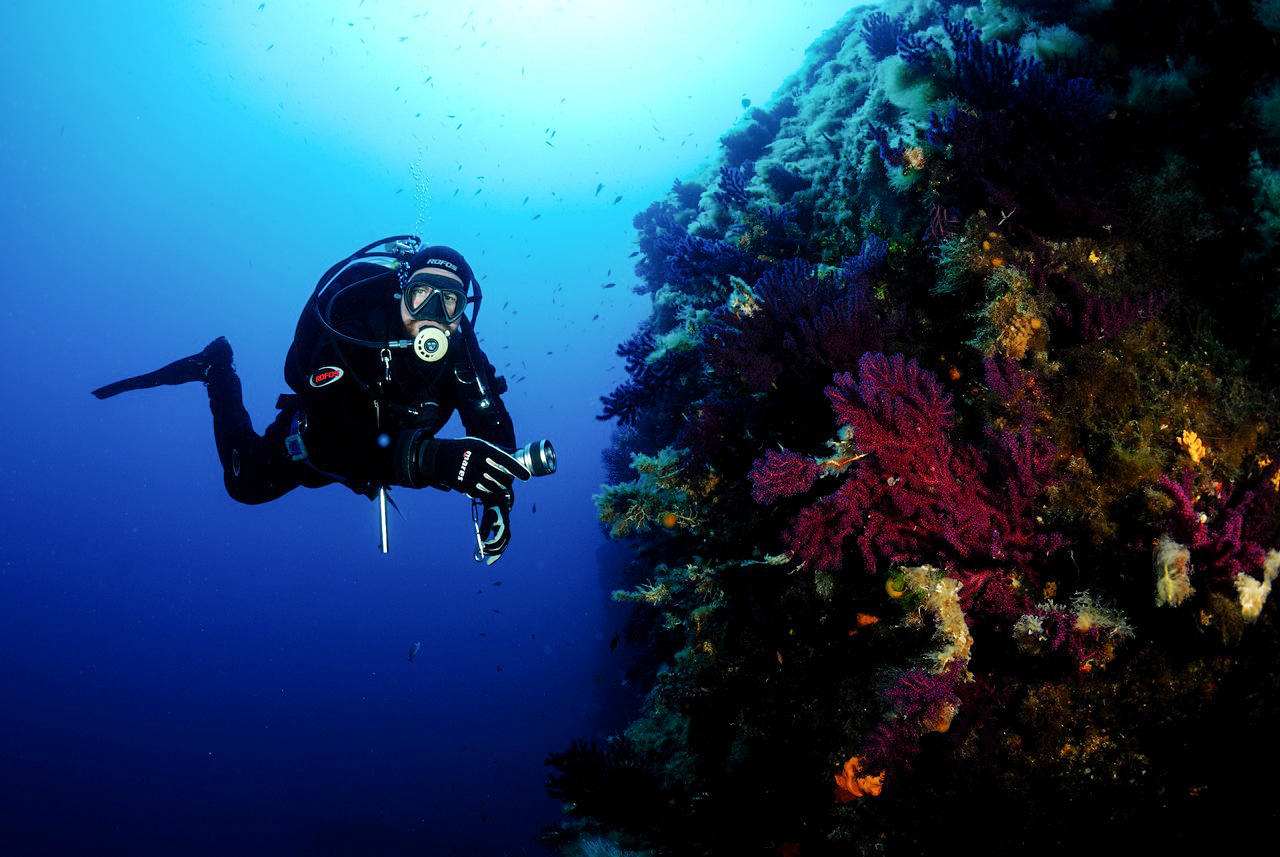 Blue Tek Diving - Marettimo