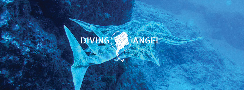 Diving Angel Plongée Tenerife