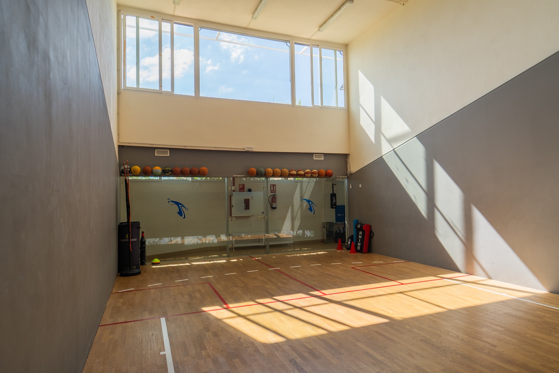 Basketball Top Training