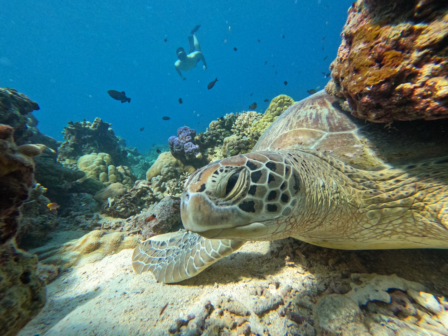 Private Trip Gili