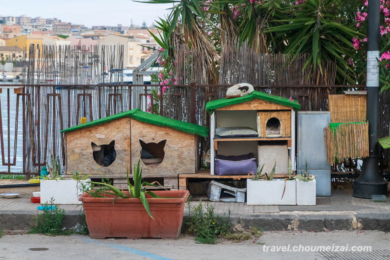 Kitty Cat Hotel