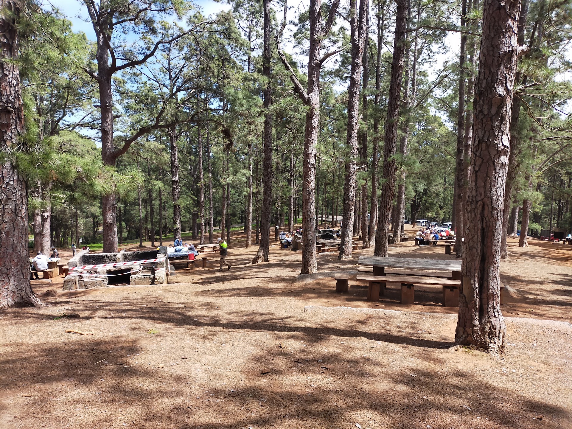 Zona De Acampada De Las Raíces