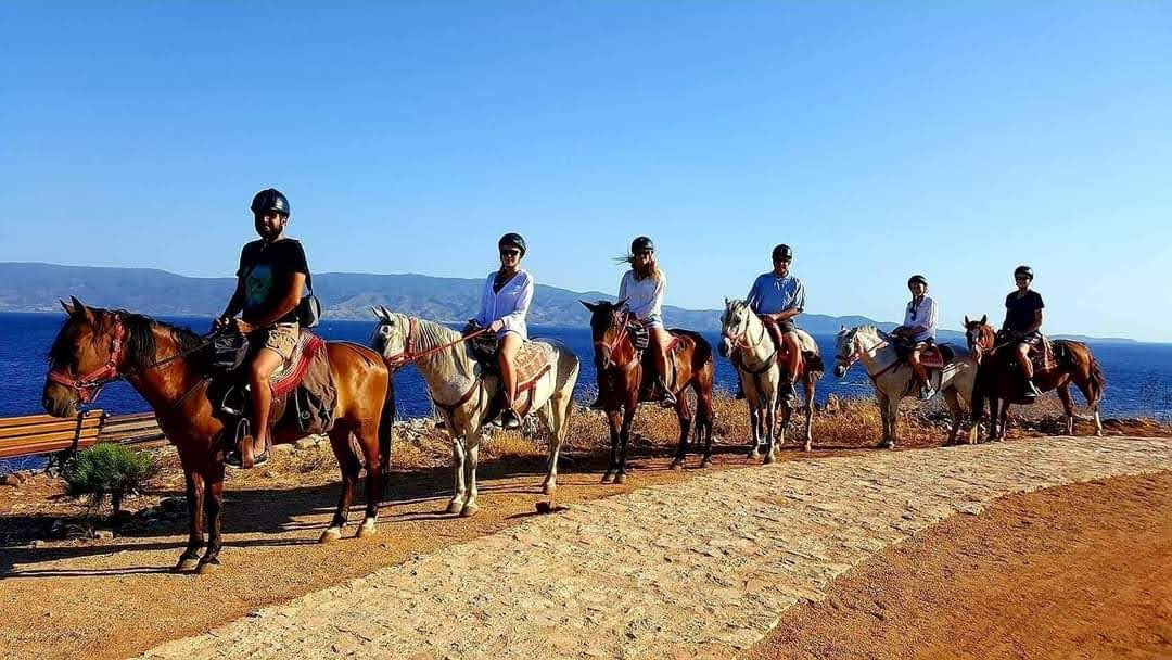 Harriets Hydra Horses