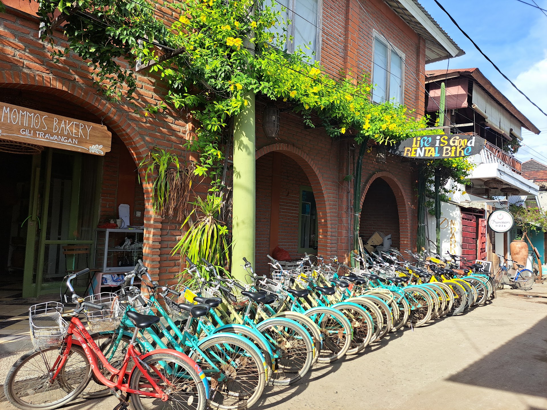 Life is good RENTAL BIKE