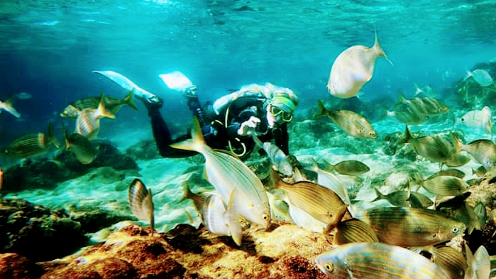 Zeus Dive Center