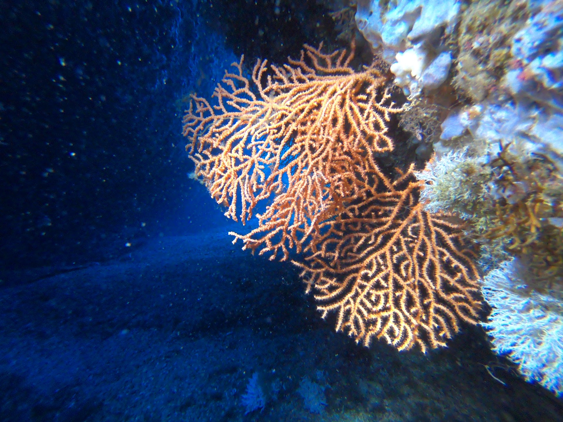 Kairos Diving Center - Sardegna