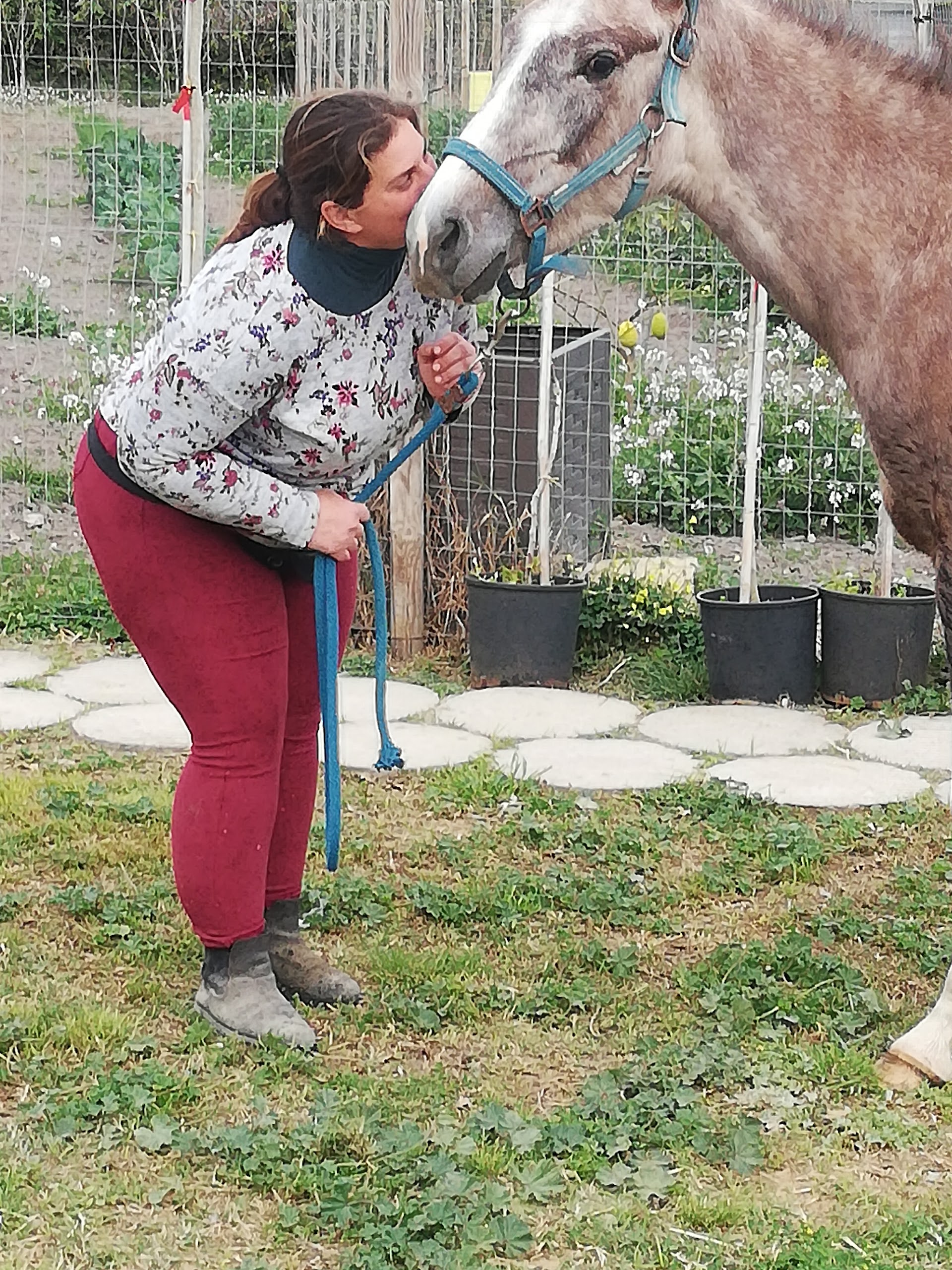 HORSE CLUB DELLO STAGNONE Asd MARSALA