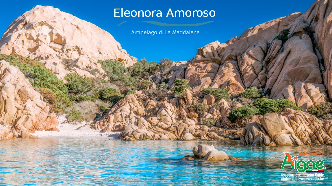 Guida Ambientale Escursionistica - Trekking Tours - Sardinia Hikes