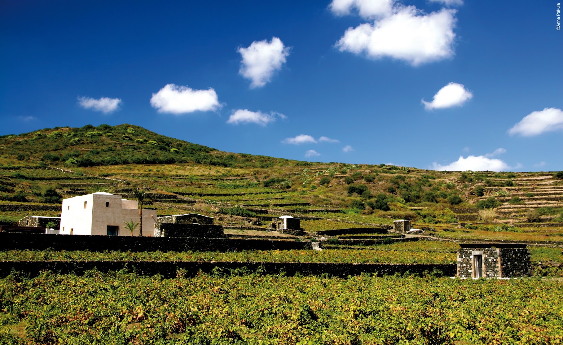 Donnafugata Winery Farmhouse